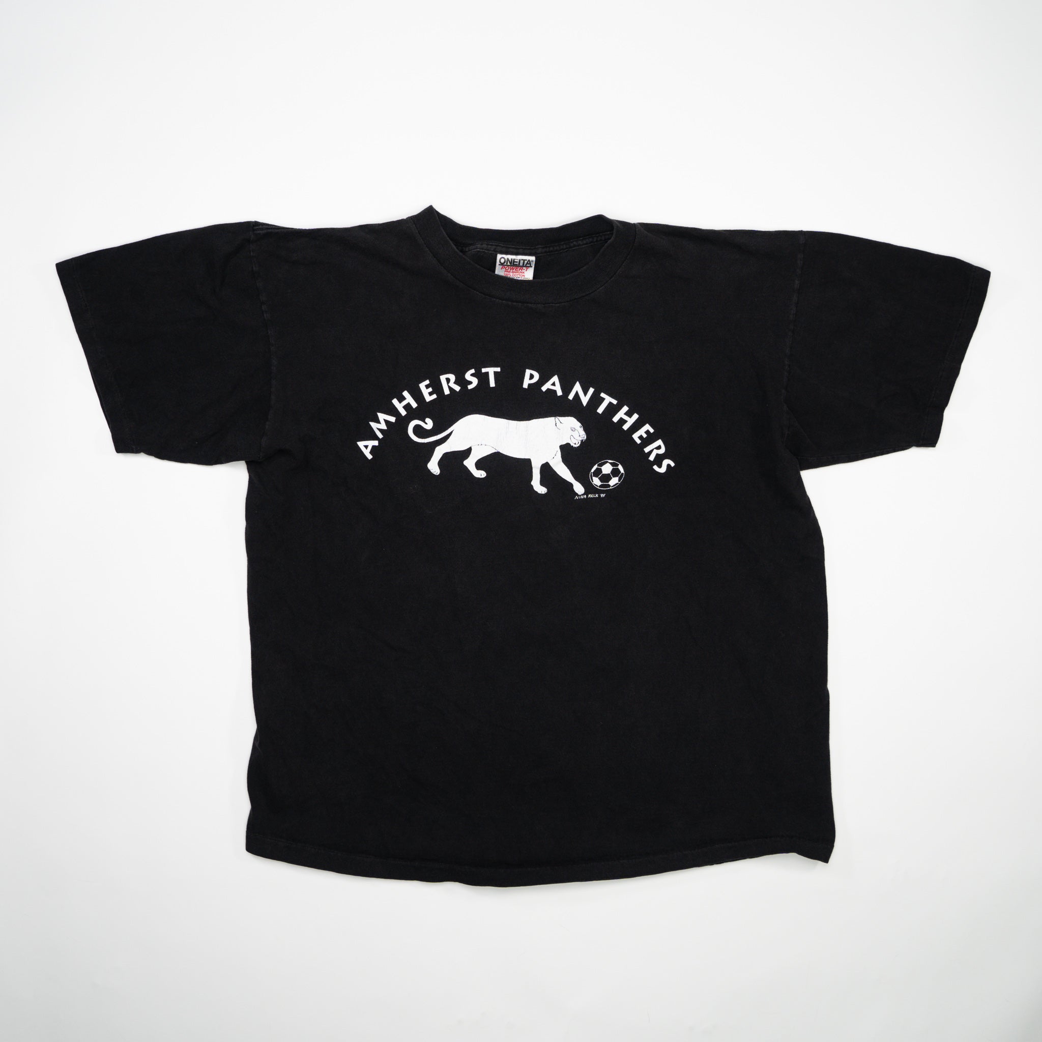 Vintage '95 Black Amherst Panthers Coach Tee (L)