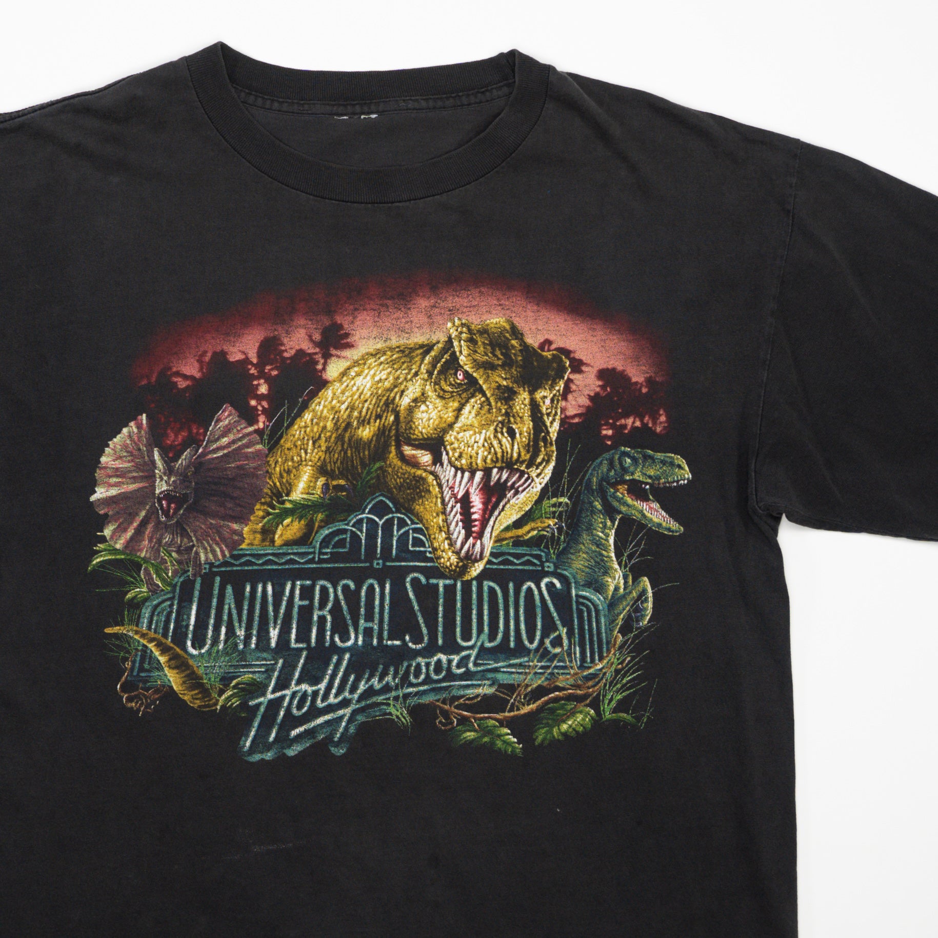 Vintage Universal Studios Hollywood Dinosaur Tee (M/L)