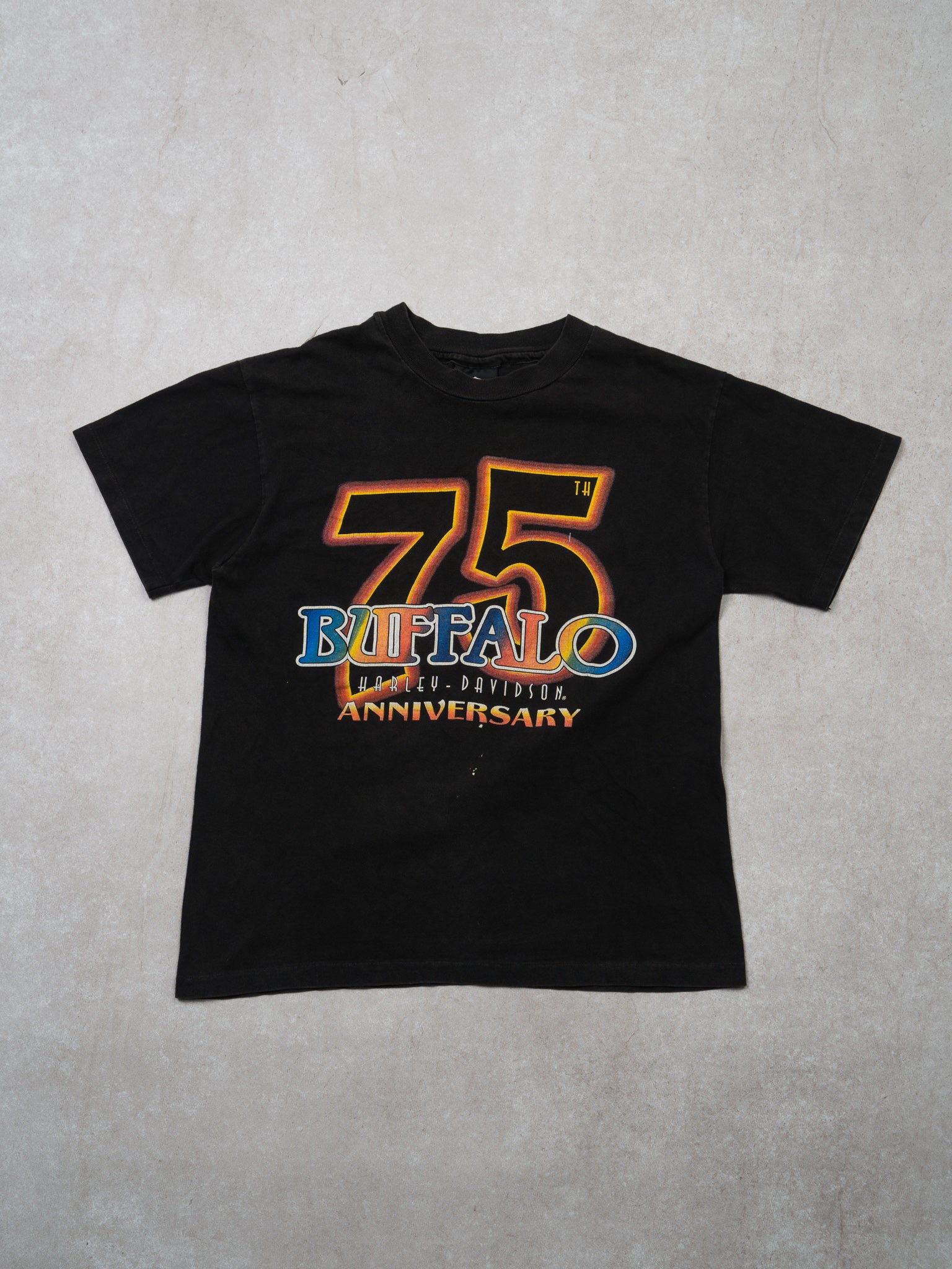 Vintage Harley Davidson Buffalo Anniversary Tee (S)
