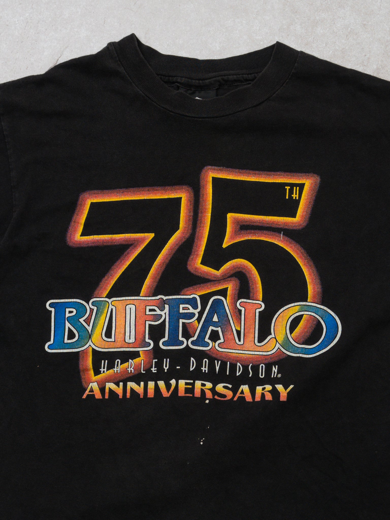 Vintage Harley Davidson Buffalo Anniversary Tee (S)