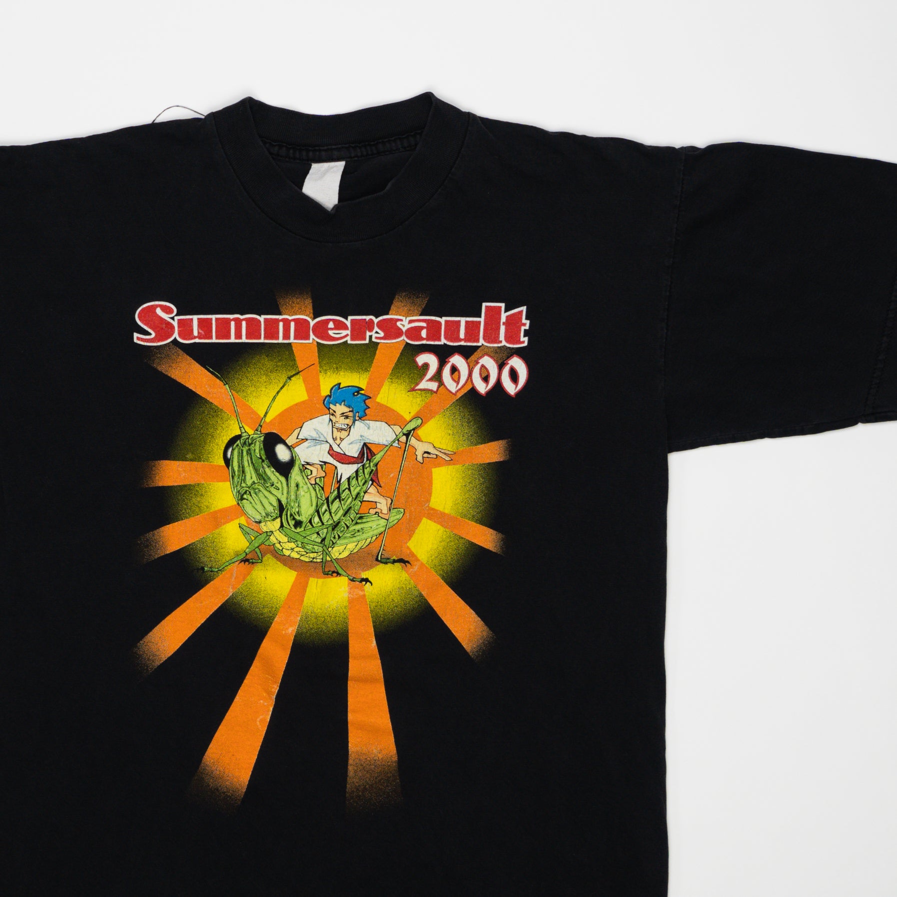2000年 summer sault vtg Tシャツ フェス ロラパルーザ Vintage Summersault 2000 Tee (S) – Rebalance Vintage