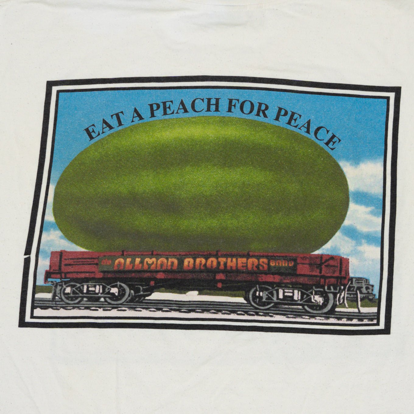 Vintage '95 Allman Brothers Band Tee (L/XL) | Rebalance Vintage.