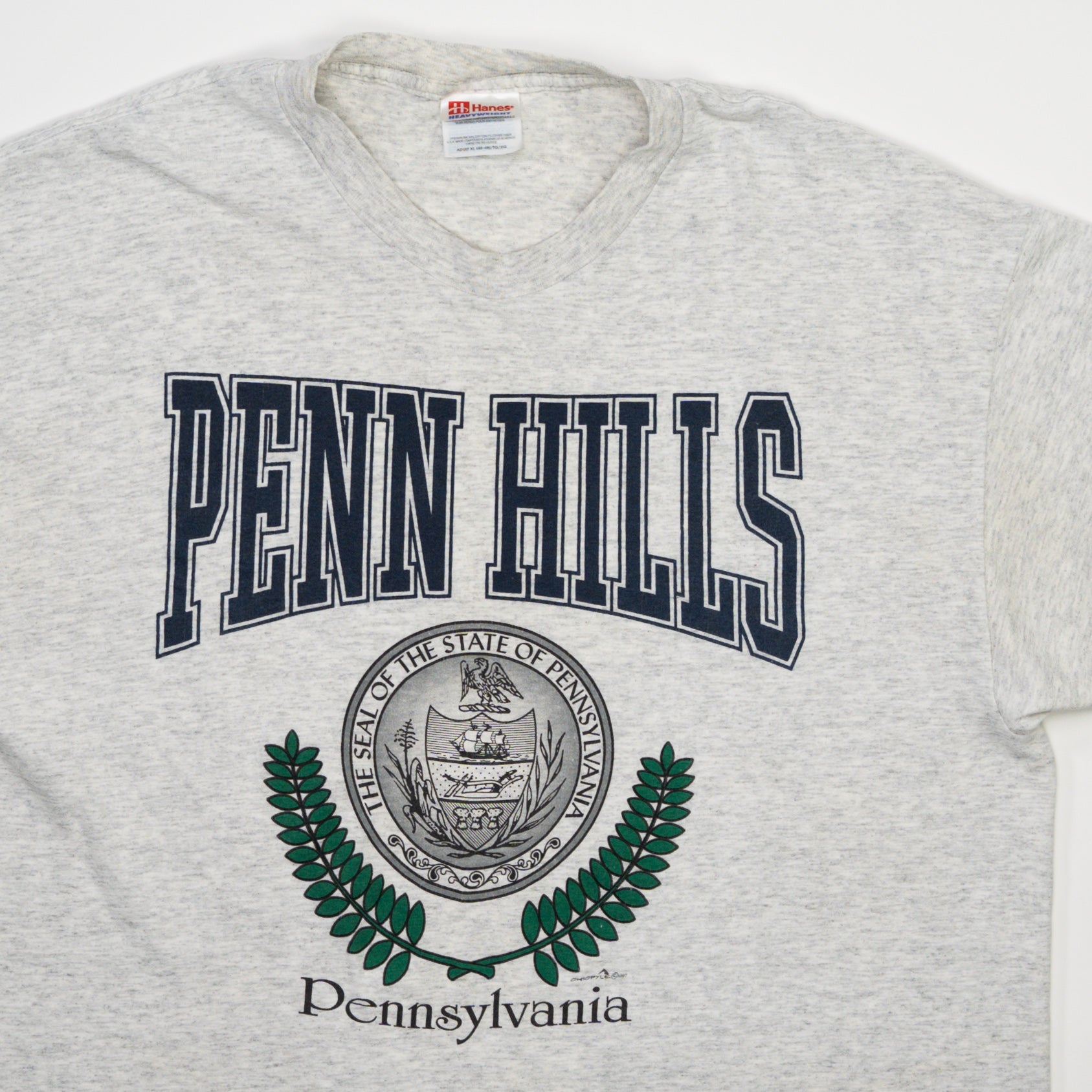 Vintage Grey Penn Hills Pennsylvania Tee (L)