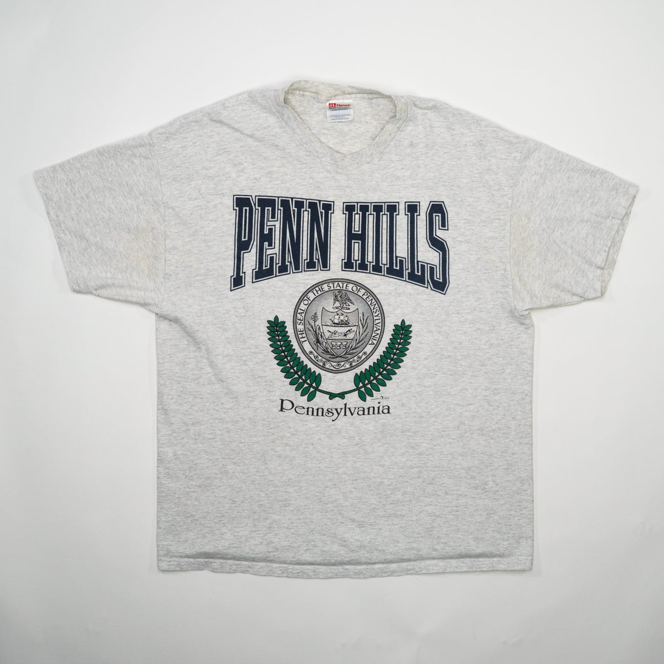 Vintage Grey Penn Hills Pennsylvania Tee (L)