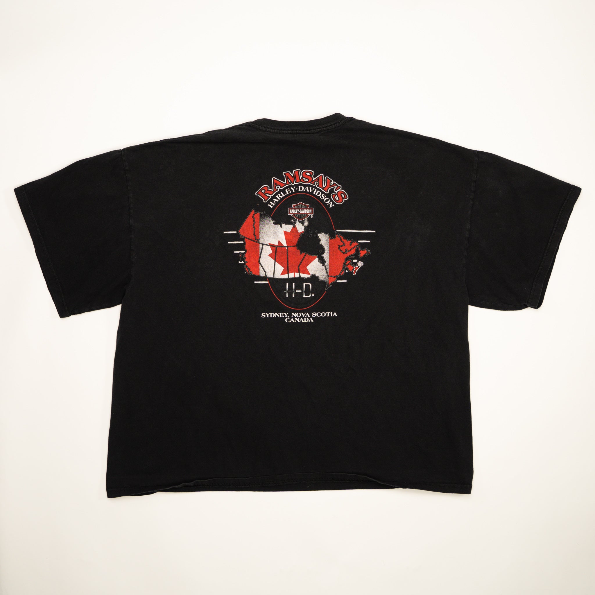 Vintage '02 Harley Davidson Northern Thunder Tee (XL/XXL) | Rebalance Vintage.