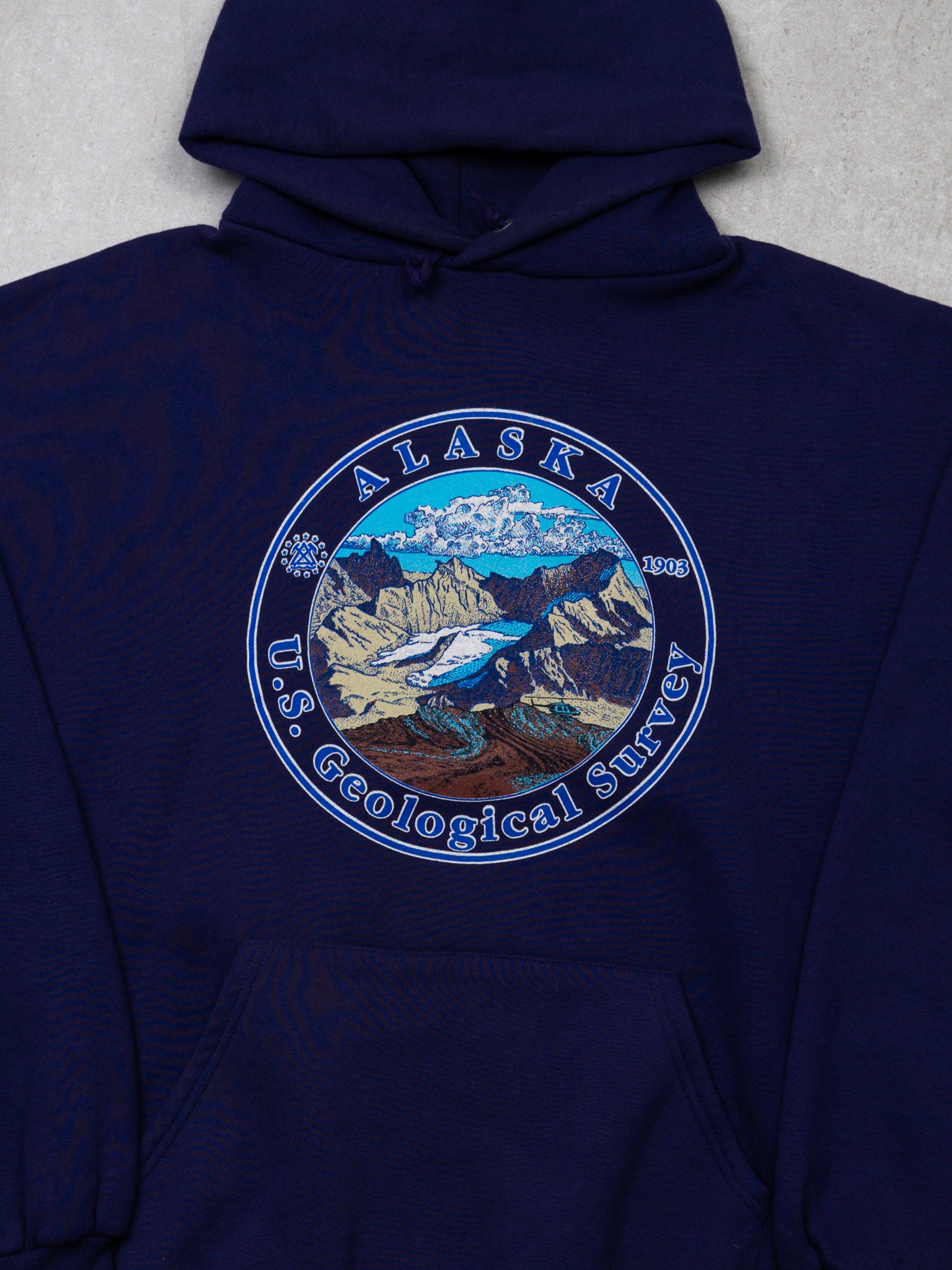 Vintage 90s Purple Alaska U.S Geological Survey Hoodie (L)