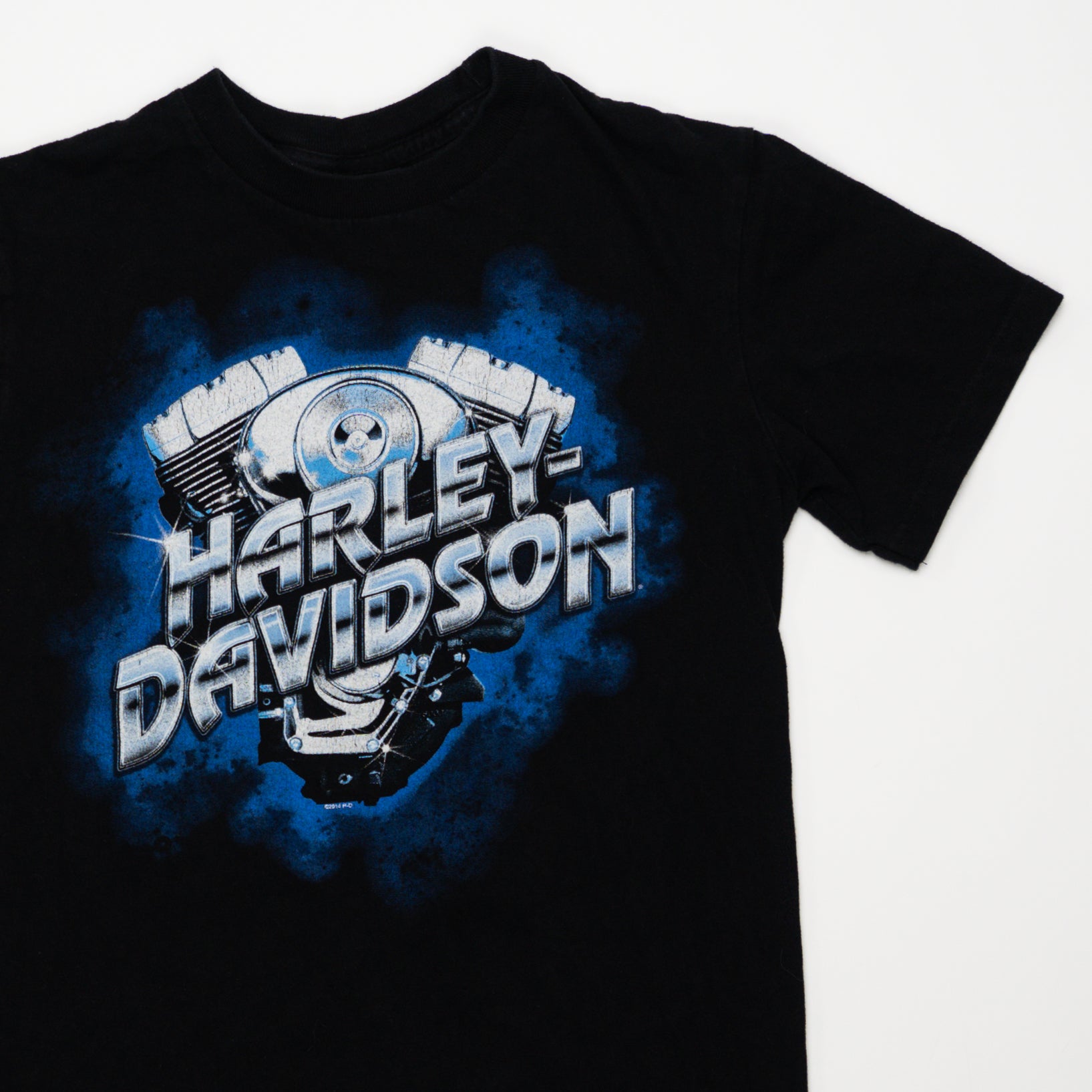 Vintage Harley Davidson Naples Florida Iguana Tee (XS) | Rebalance Vintage.