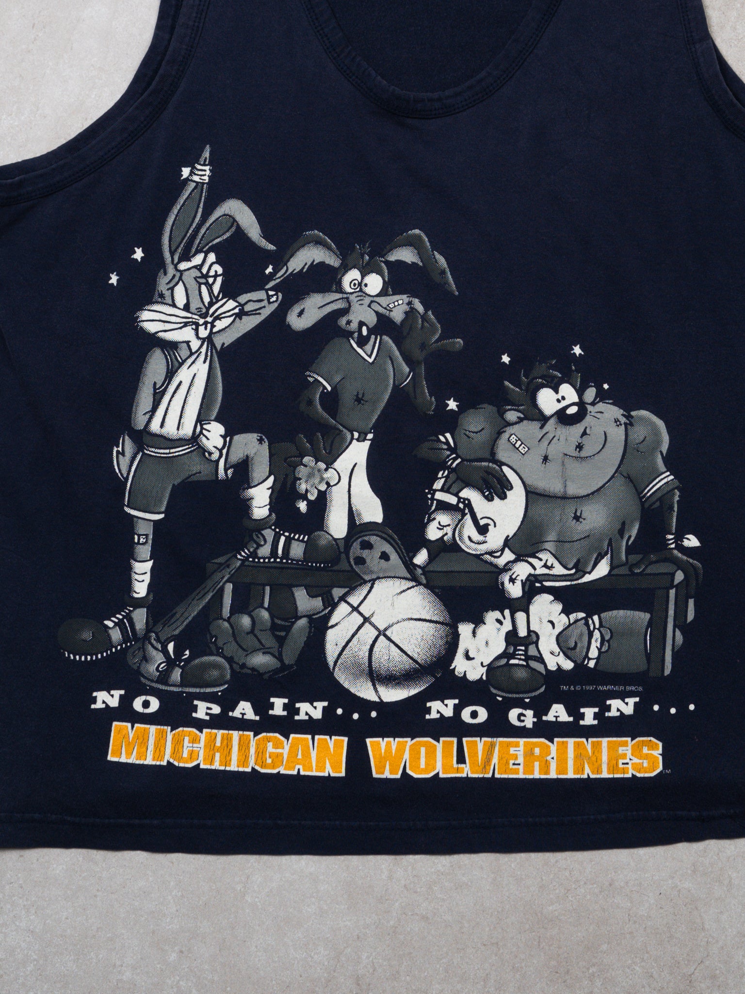 Vintage '97 Blue Looney Tunes x Michigan Wolverines Tank Top (S/M)