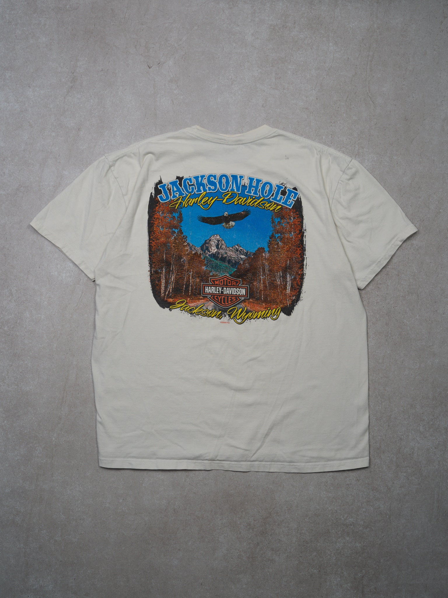 Vintage '08 White Harely Davidson Jackson Wyoming Tee (L)