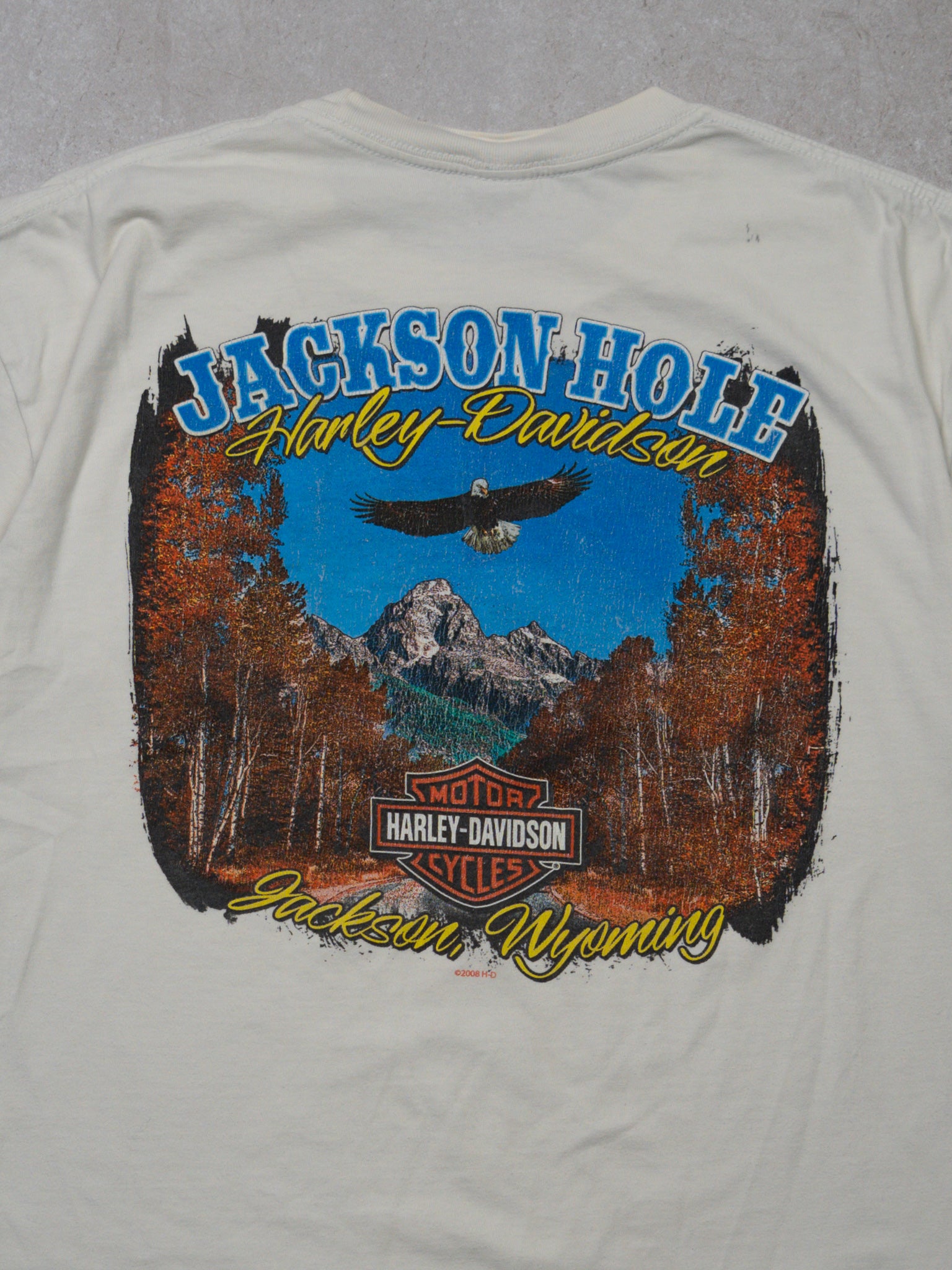 Vintage '08 White Harely Davidson Jackson Wyoming Tee (L)
