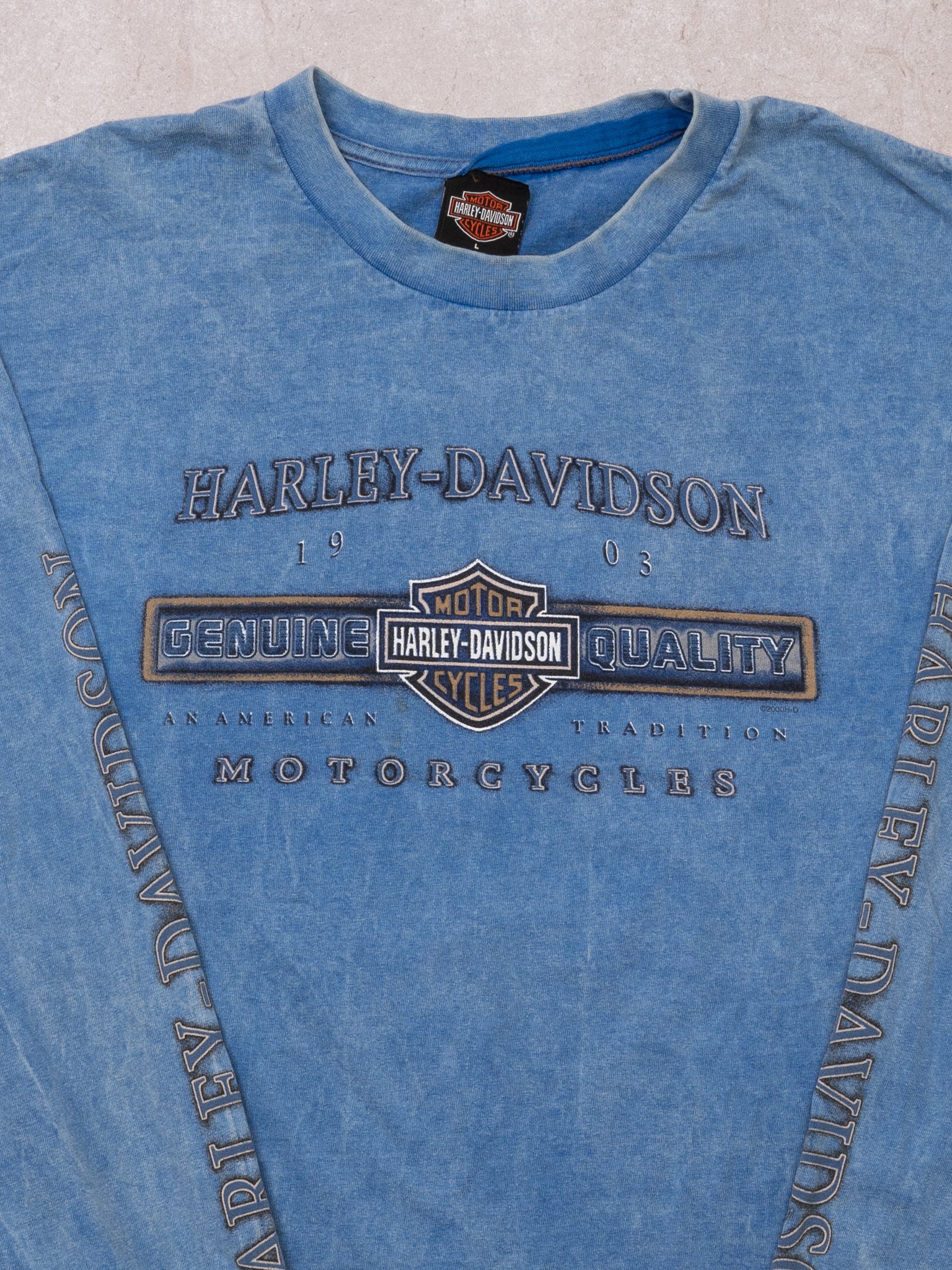Vintage '00 Light Blue Harley Davidson Thunder Bay Long Sleeve (L)