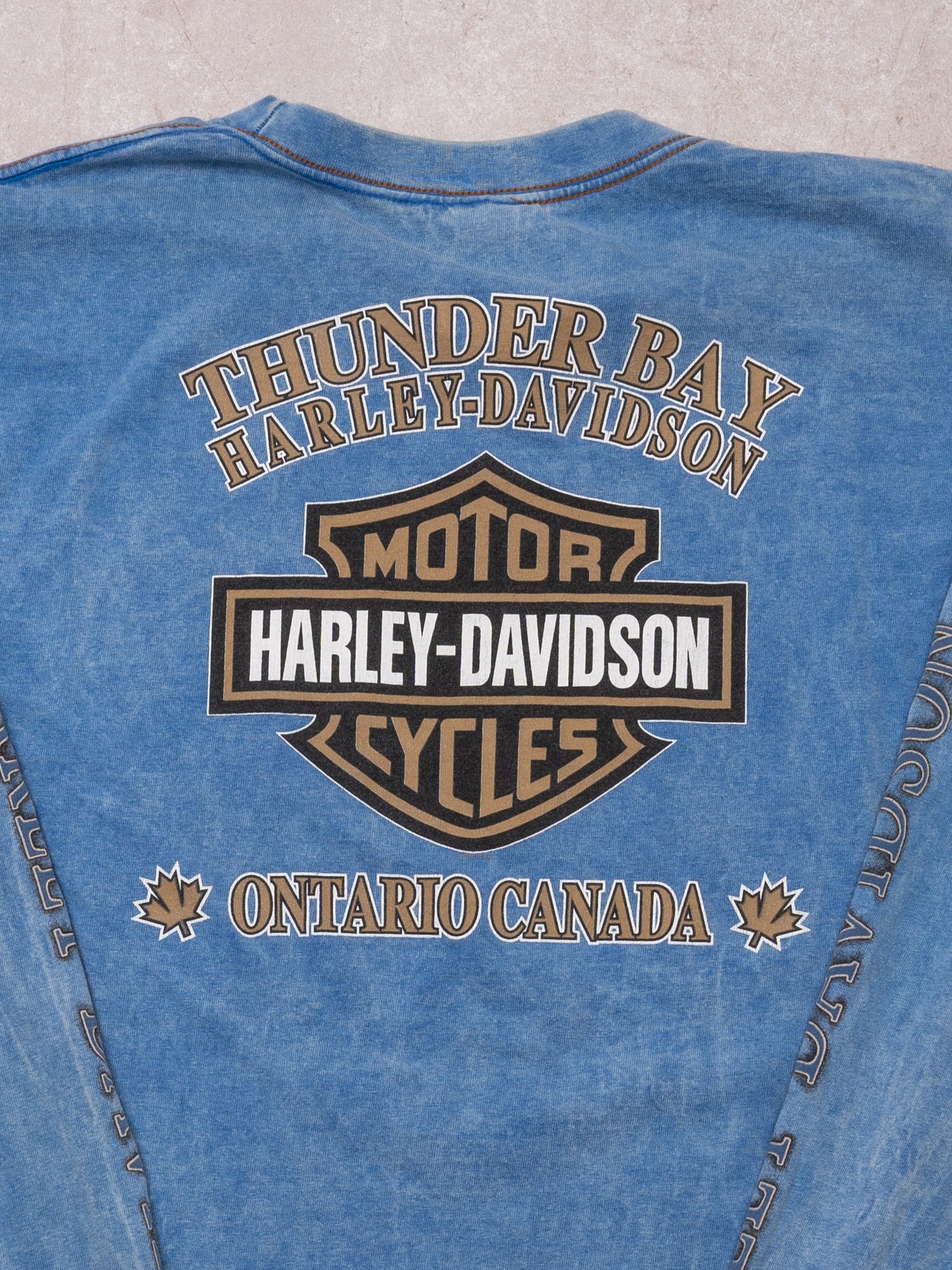 Vintage '00 Light Blue Harley Davidson Thunder Bay Long Sleeve (L)