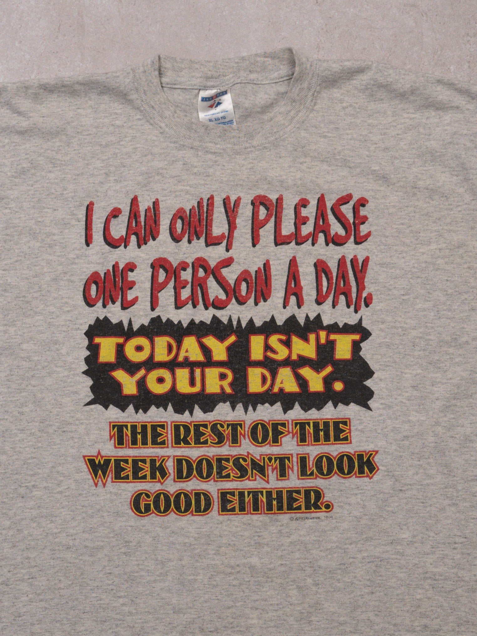 Vintage Grey 'I Can Only Please One Person A Day' Tee (L)