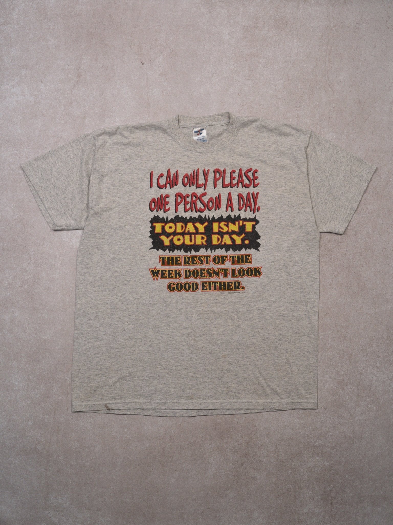 Vintage Grey 'I Can Only Please One Person A Day' Tee (L)