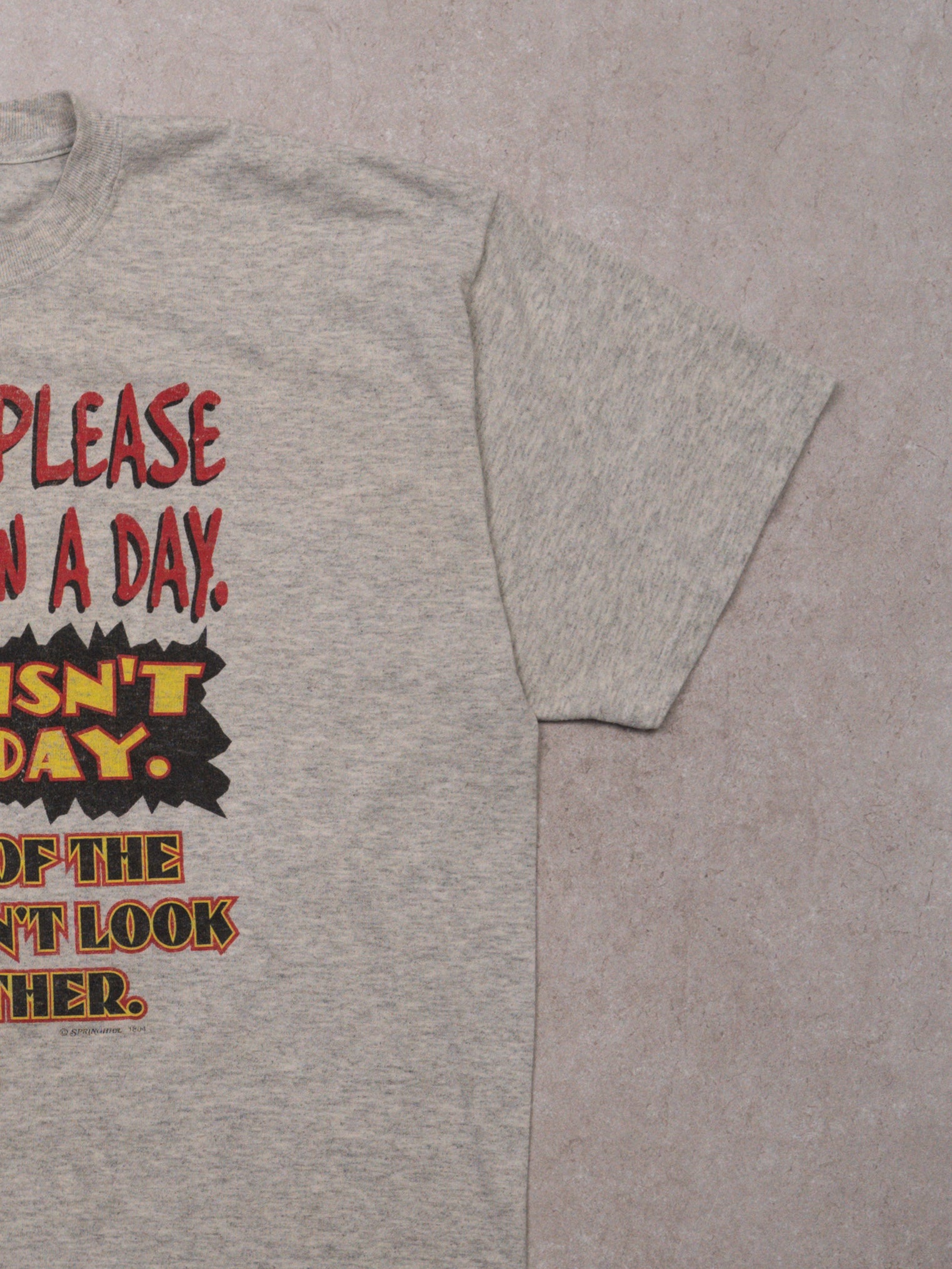 Vintage Grey 'I Can Only Please One Person A Day' Tee (L)