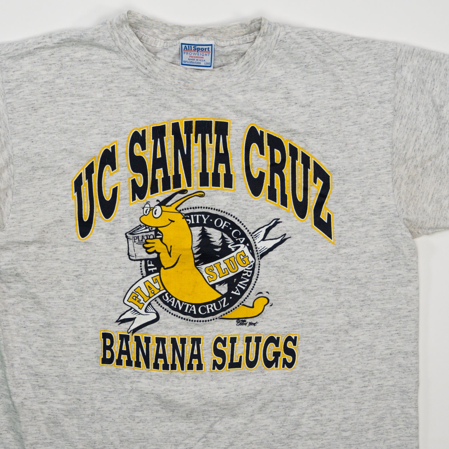Vintage 90s Single Stitch UC Santa Cruz Banana Slugs Tee (M)