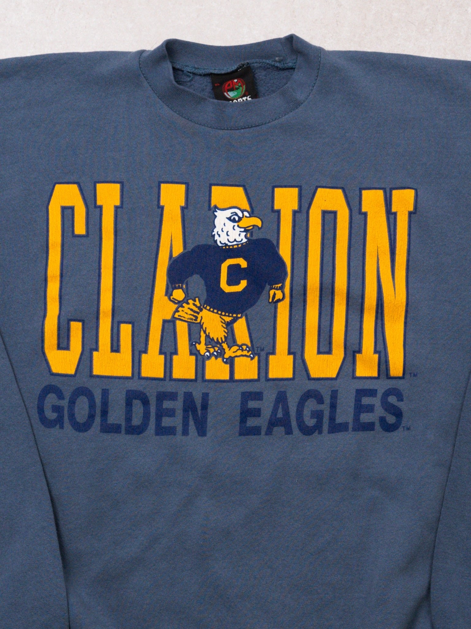 Vintage 80s Blue Clarion Golden Eagles Crewneck