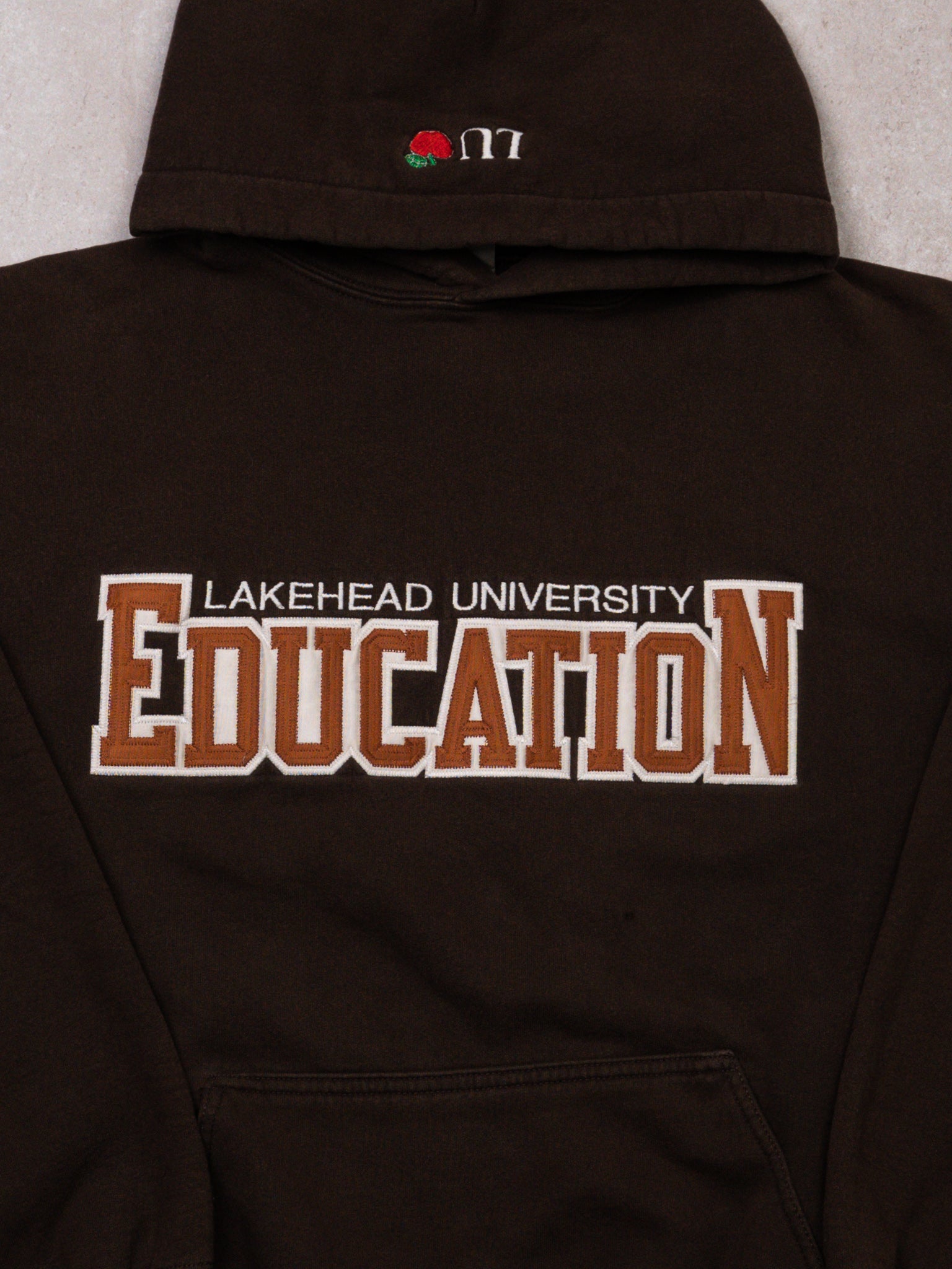 Vintage Brown Lakehead University Education Hoodie (L)
