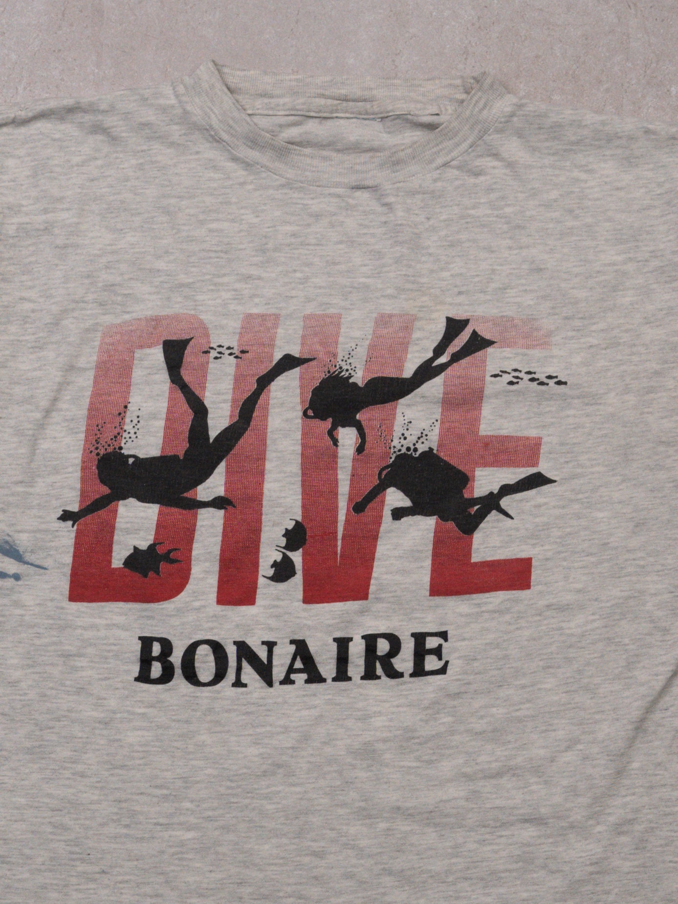 Vintage 90s Grey Dive Bonaire Boxy Tee (L)
