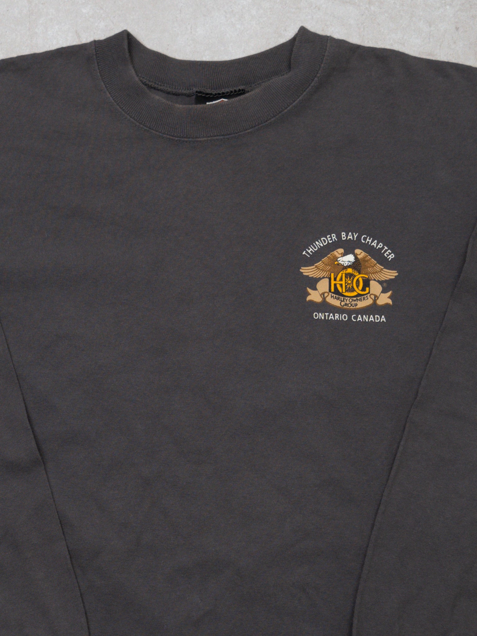 Vintage 90s Grey Harley Davidson Owners Group Thunder Bay Long Sleeve (M)