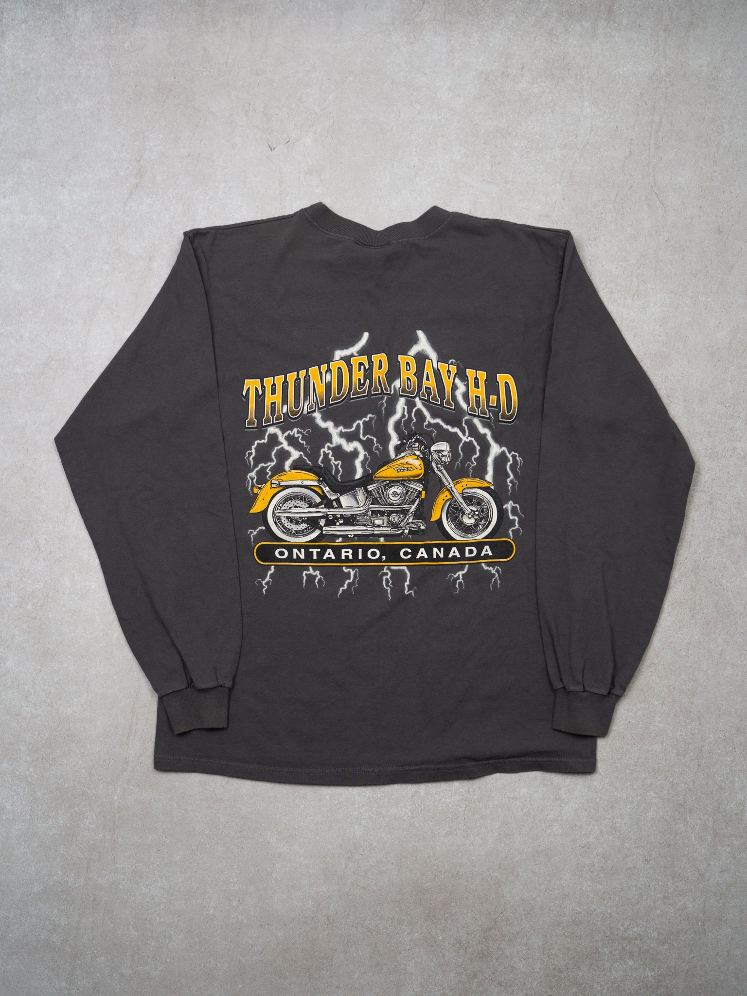 Vintage 90s Grey Harley Davidson Owners Group Thunder Bay Long Sleeve (M)