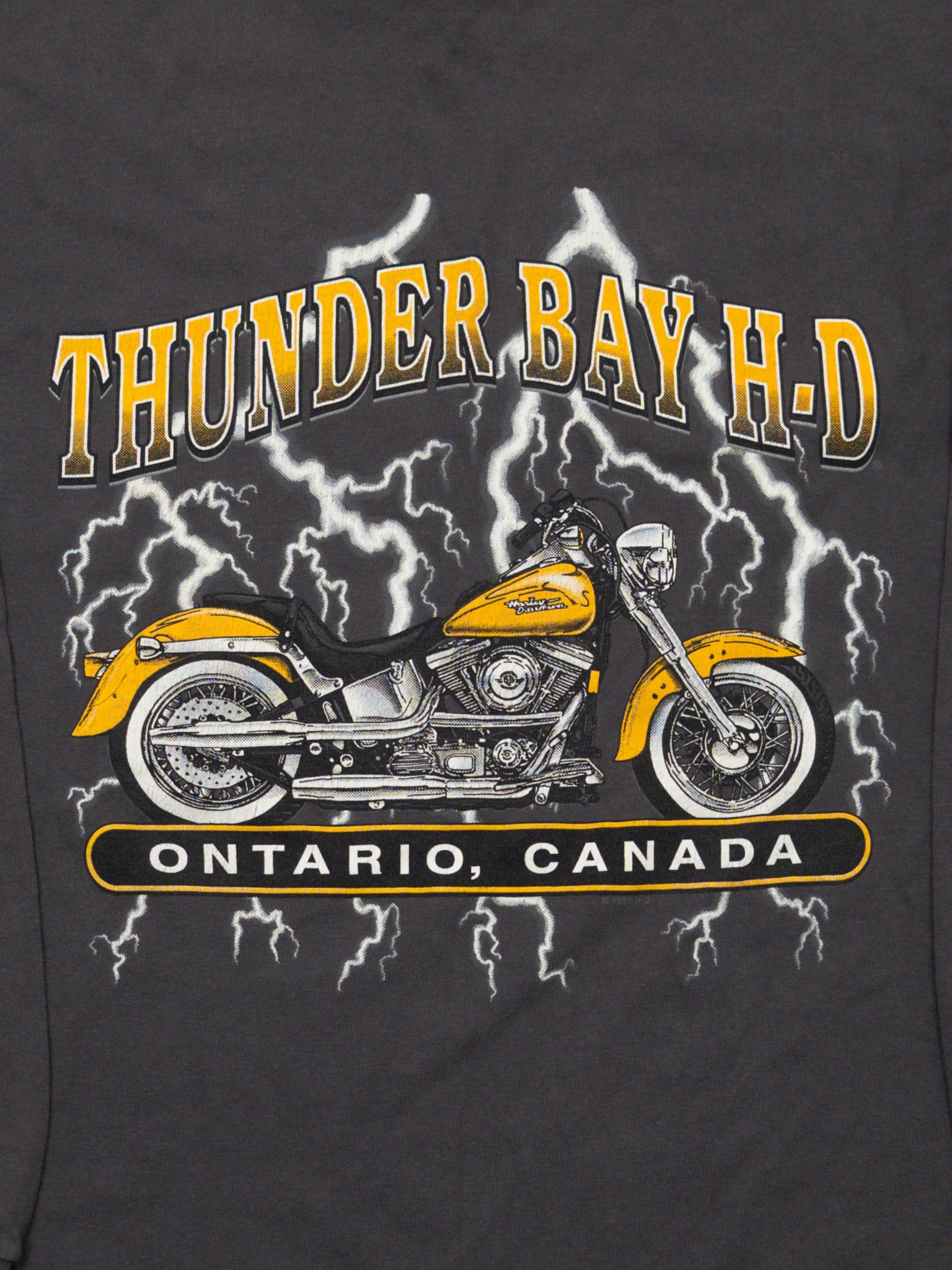 Vintage 90s Grey Harley Davidson Owners Group Thunder Bay Long Sleeve (M)