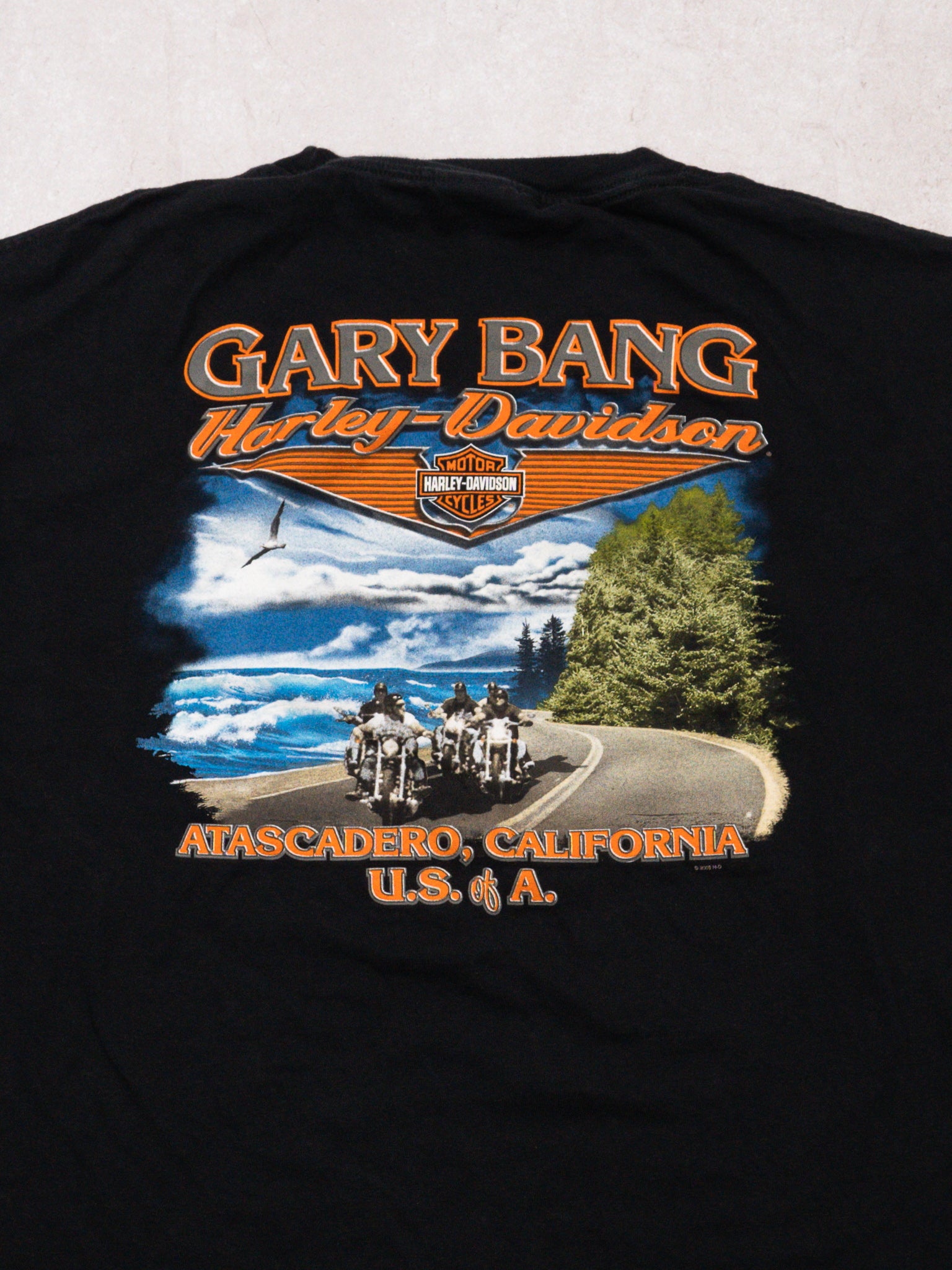Vintage Black '06 Harley Davidson Atascadero California Tee (L)