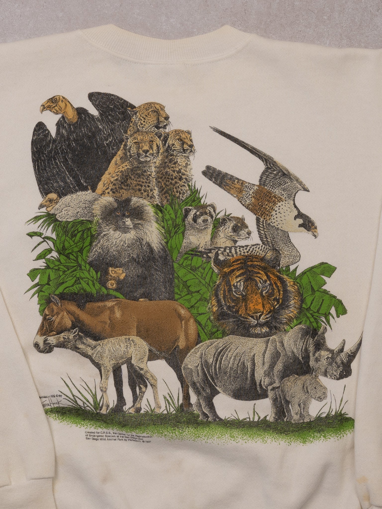 Vintage 90s Cream San Diego Zoo Crewneck (M)