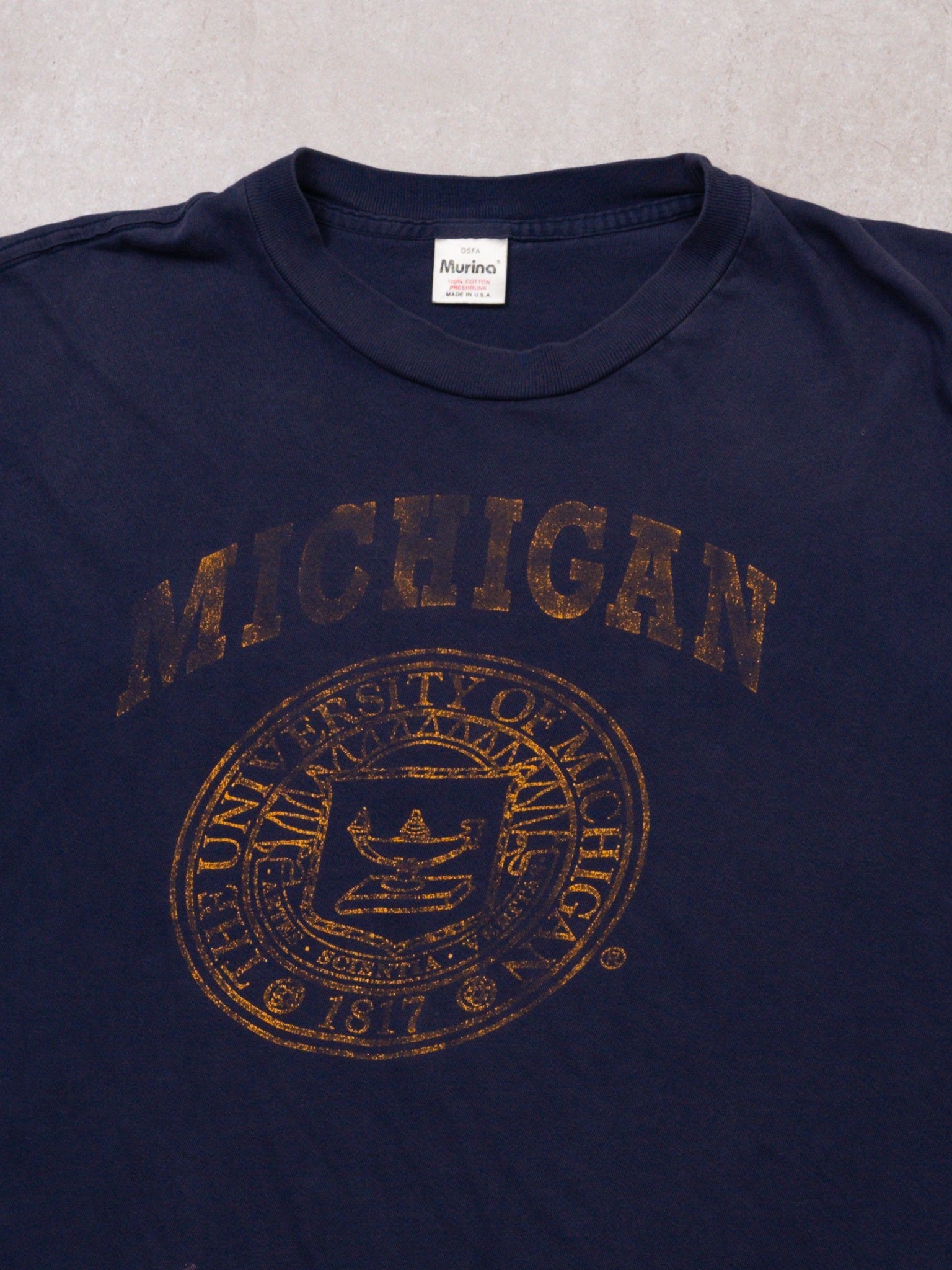 Vintage Faded Blue Michigan Universirty Crest Tee (XL)