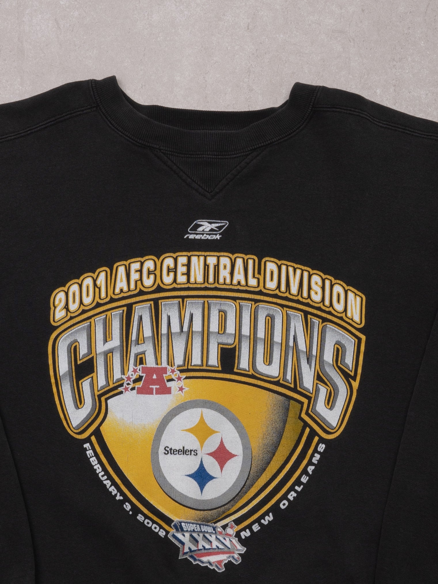 Vintage '01 Reebok AFC Central Division Steelers Champions Crewneck (L)