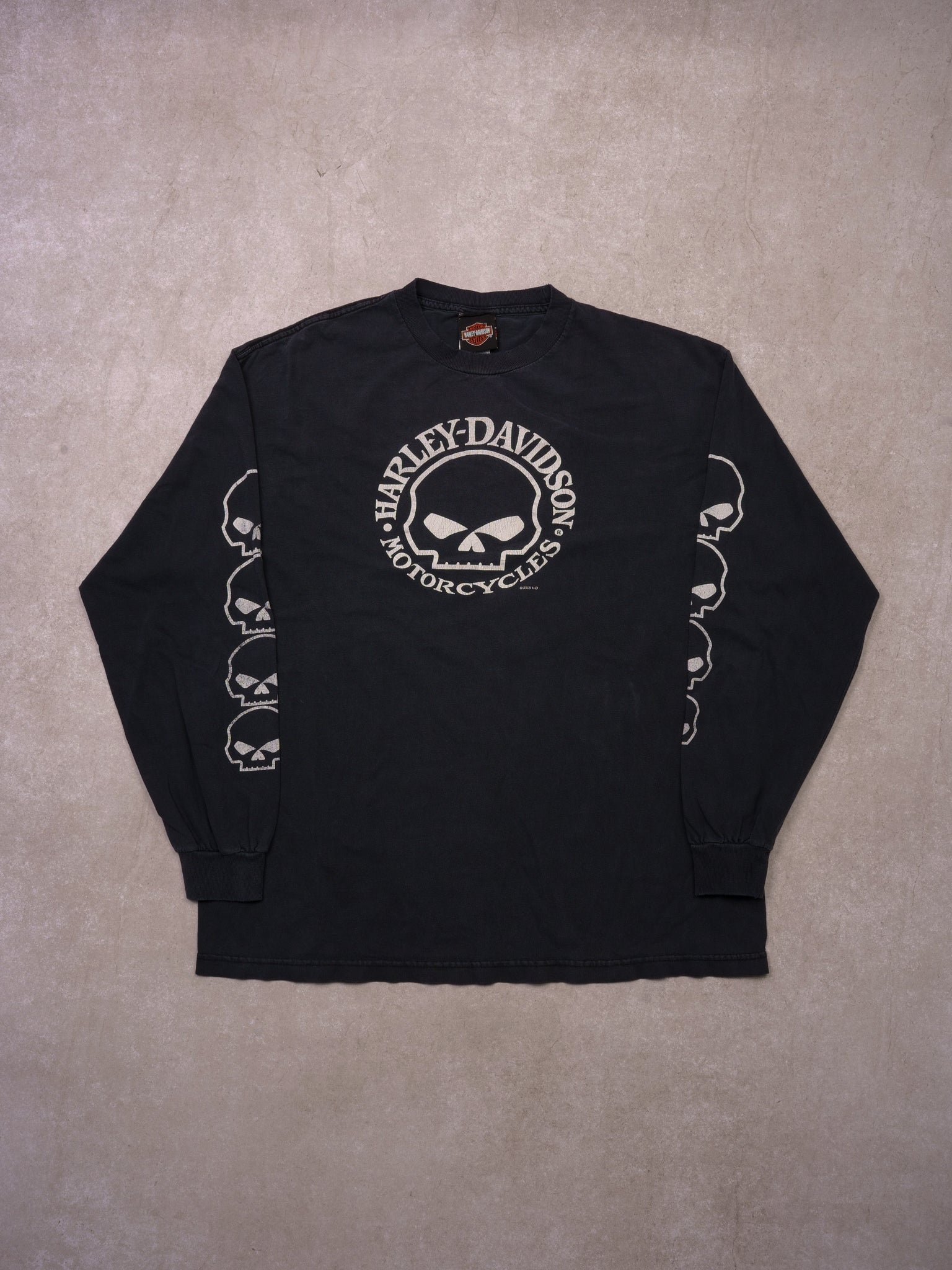 Vintage 05' Sunfaded Black Harley Davidson Skull Alberta Edmonton Longsleeve (L)