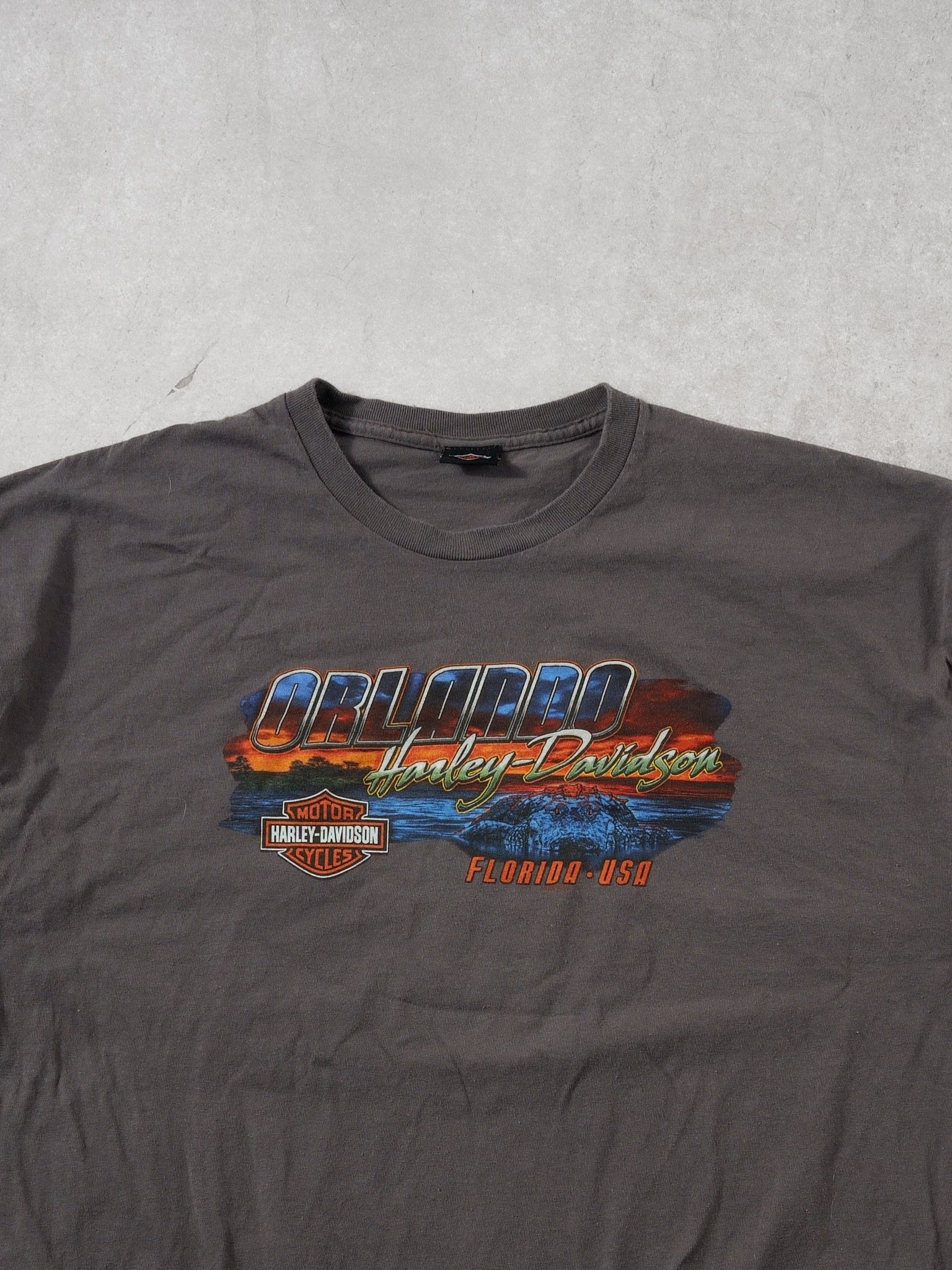 Y2k Grey Harley Davidson Orlando Florida Graphic Tee (L)