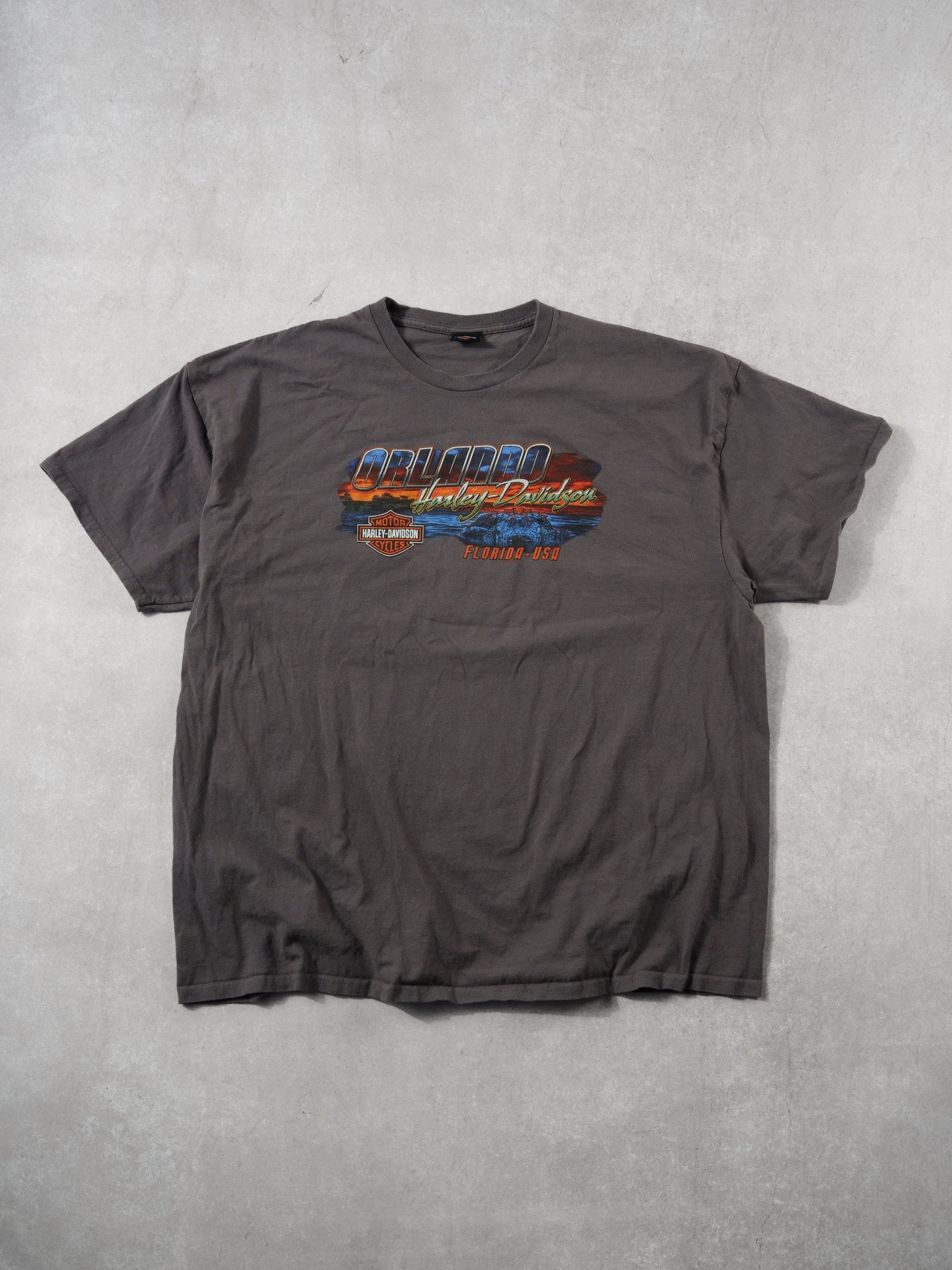 Y2k Grey Harley Davidson Orlando Florida Graphic Tee (L)