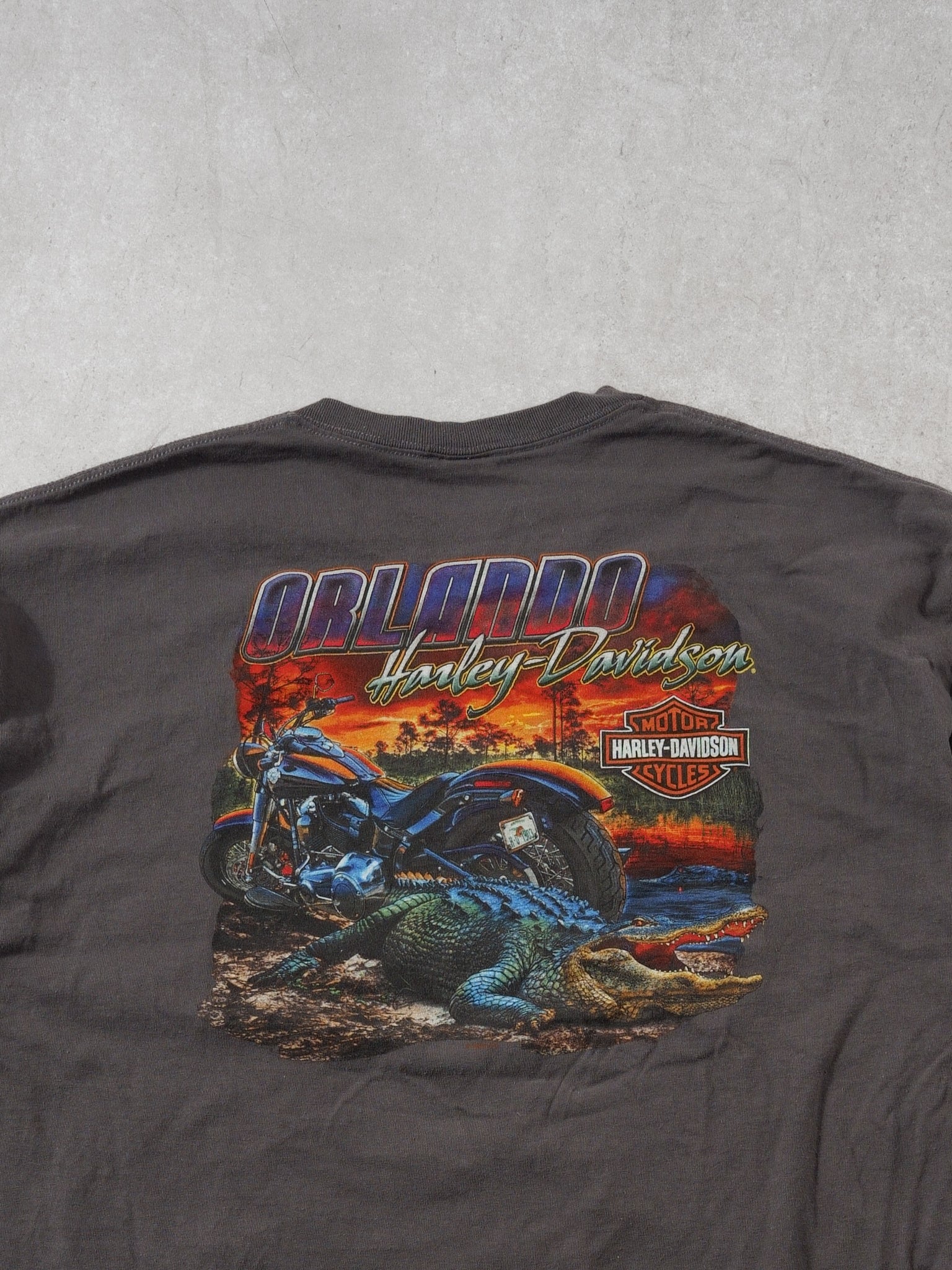 Y2k Grey Harley Davidson Orlando Florida Graphic Tee (L)