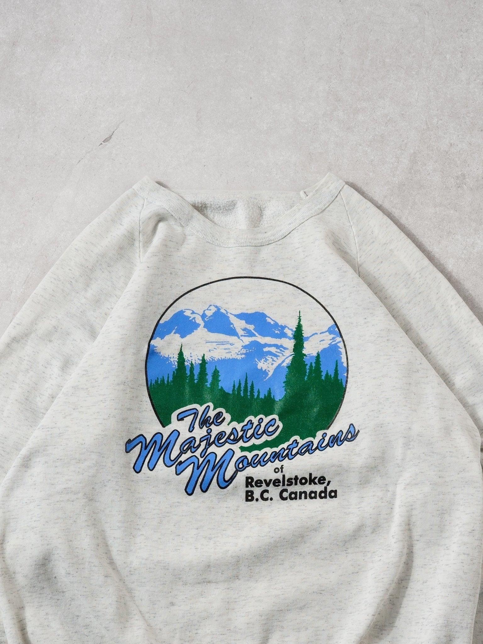 Vintage 80s Light Grey Majestic Mountains BC Crewneck (M)