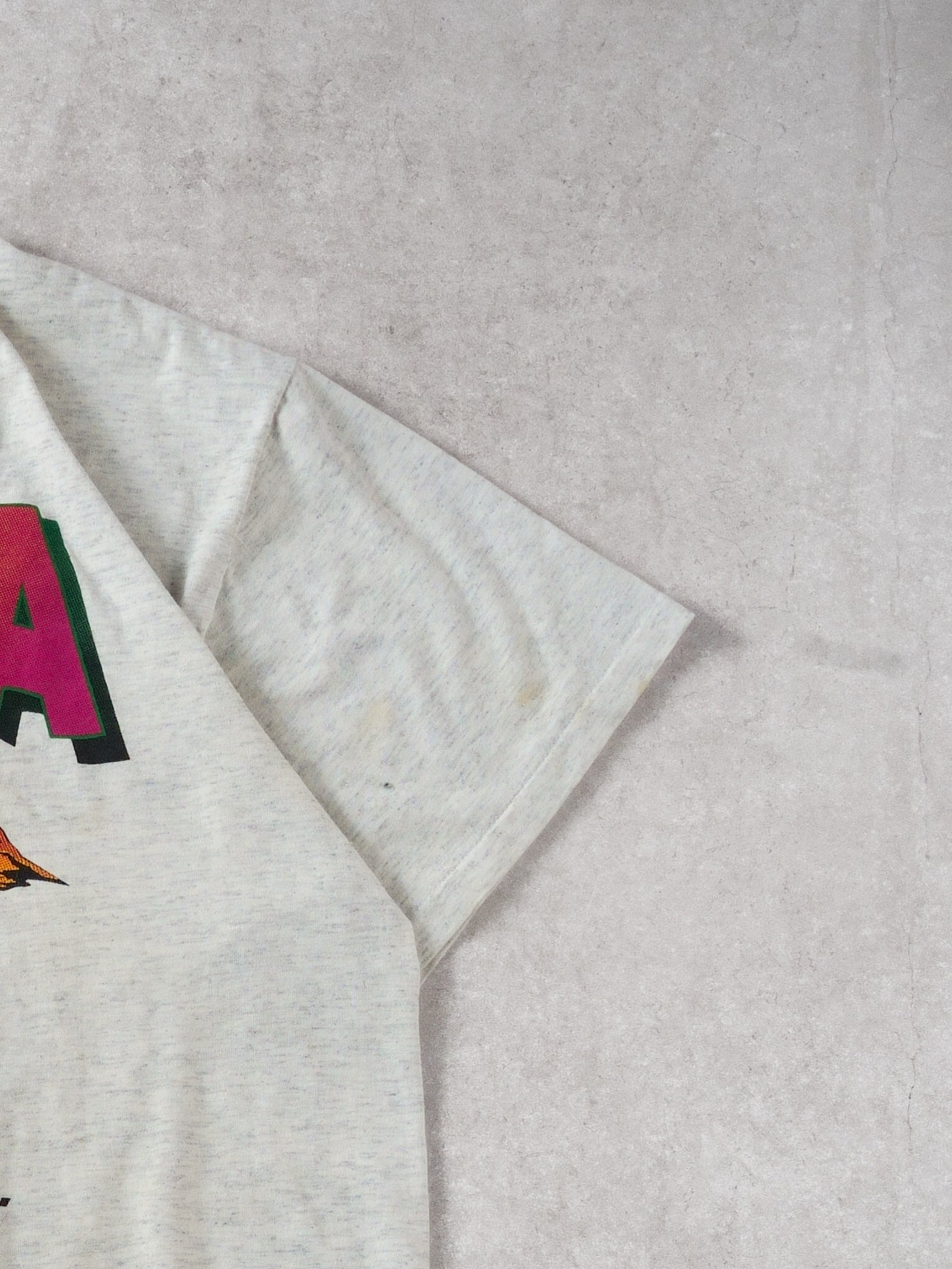 Vintage 90s Grey Arizona Its a Dry Heat Graphic Single Stitch Tee (L)