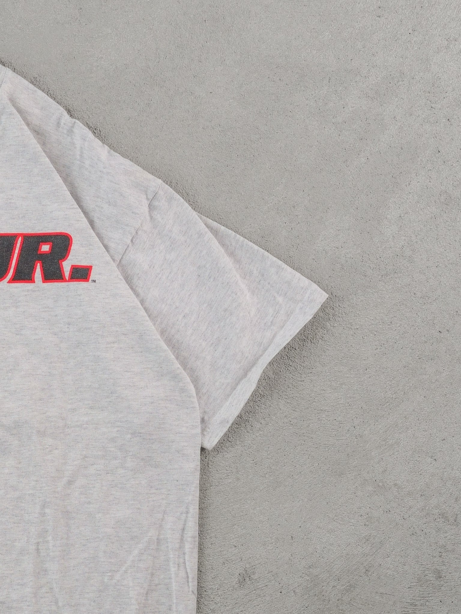 Vintage Y2k Grey Dale Jr Nascar Graphic Tee (L)
