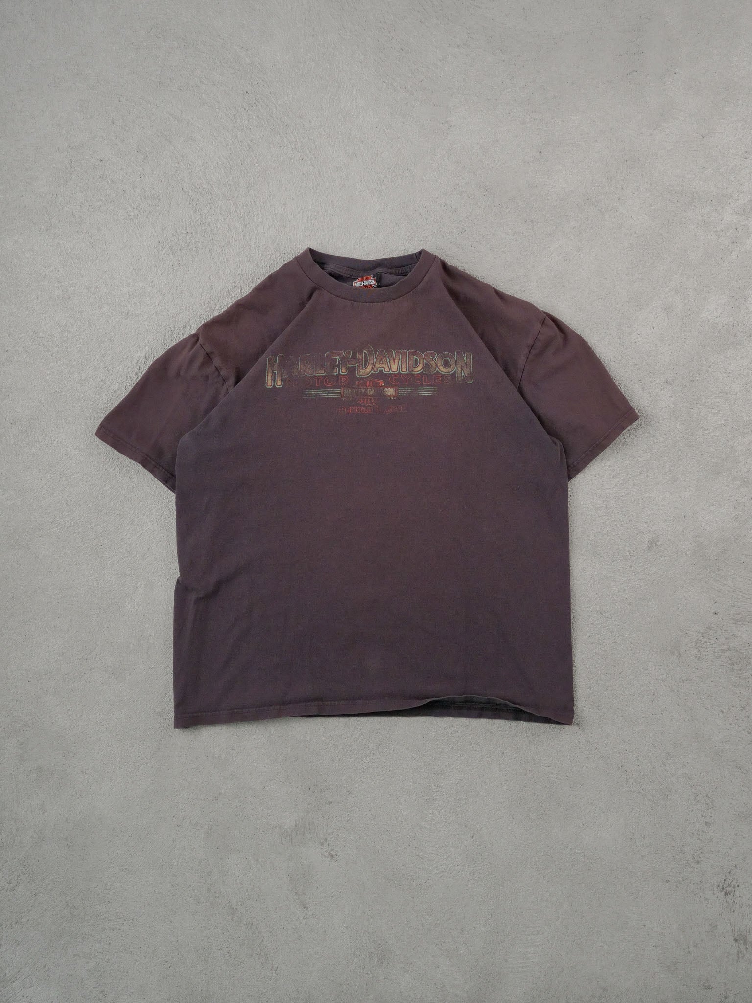Vintage 90s Washed Black Harley Davidson American Legend Tee (M)