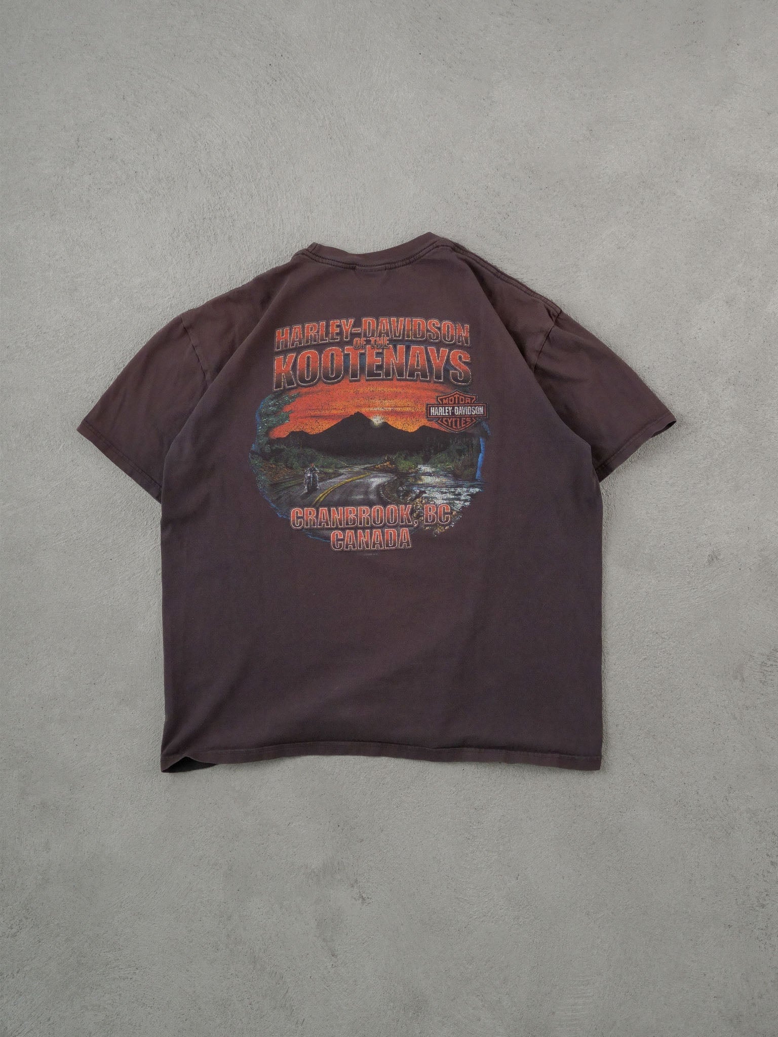 Vintage 90s Washed Black Harley Davidson American Legend Tee (M)