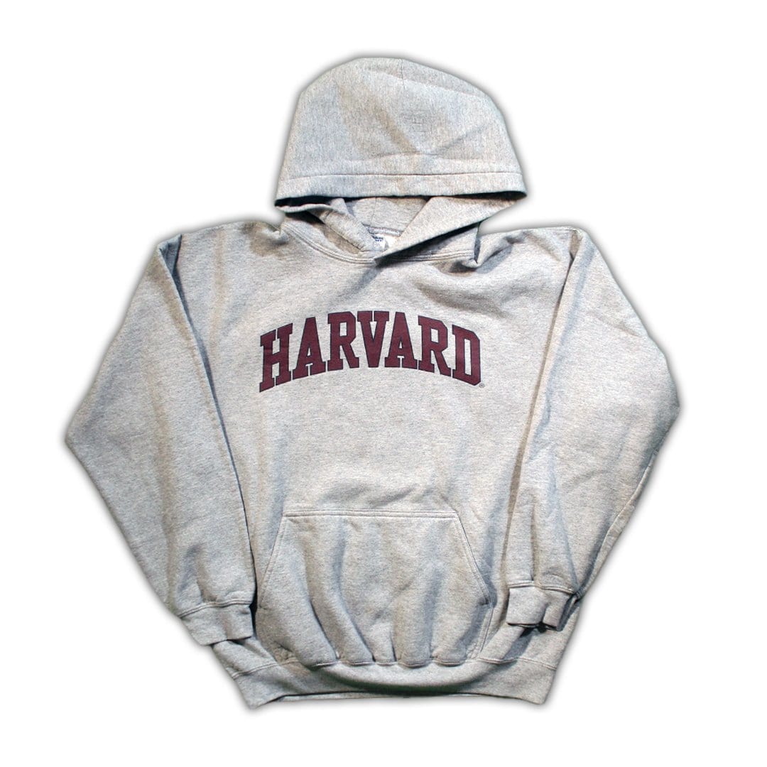 Vintage Grey Harvard Hoodie | Rebalance Vintage.