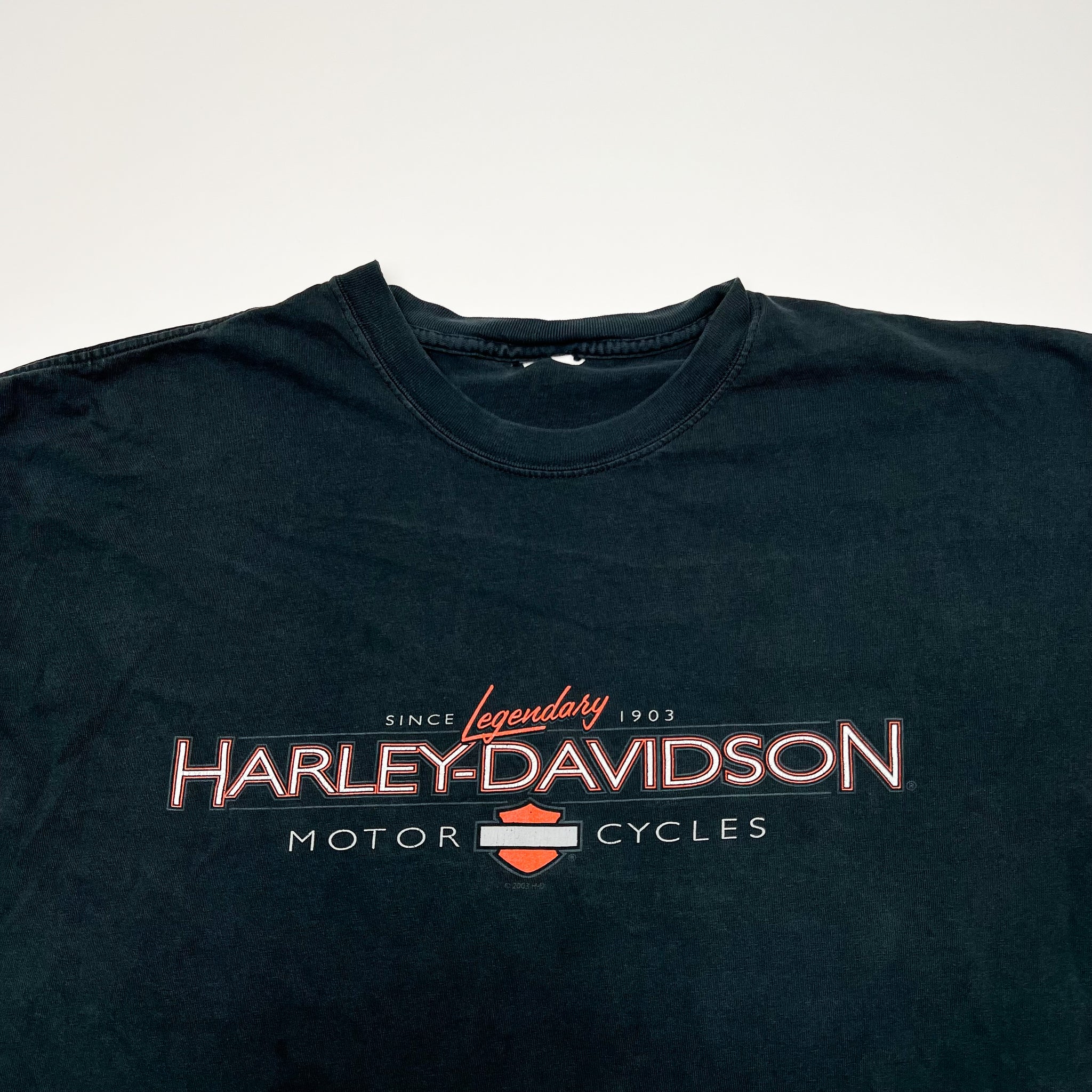 Vintage '03 Harley Davidson Gildners Michigan Tee (L) | Rebalance Vintage.