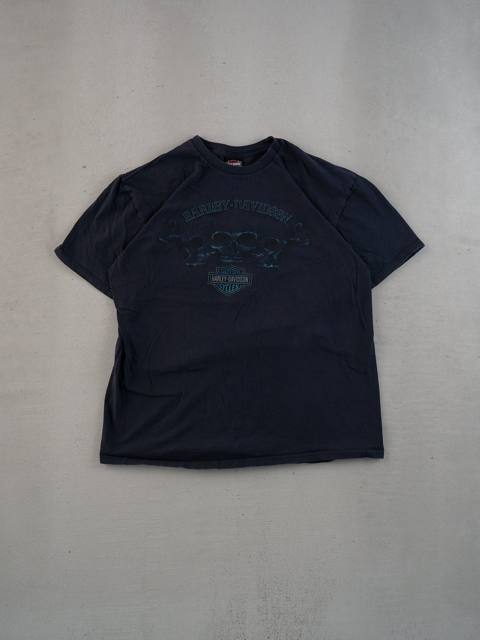 Vintage Y2k Washed Black Harley Davidson Rattlesnake Moutain Graphic Tee (M)