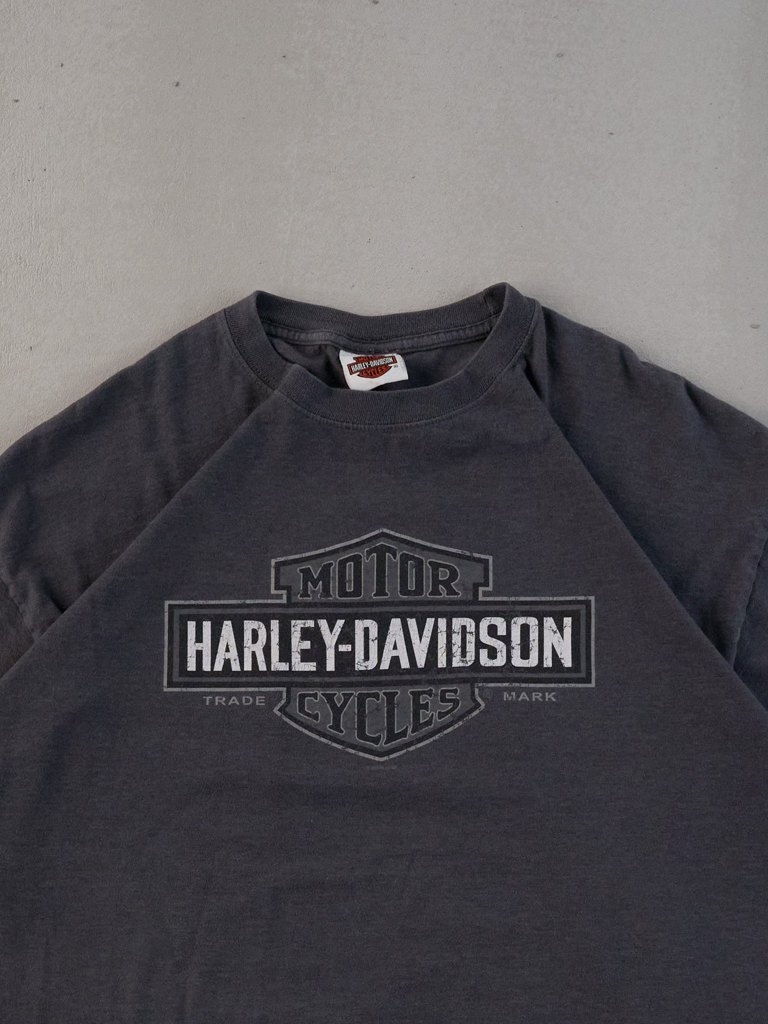 Vintage Y2k Washed Grey Harley Davidson Richmond Hill Graphic Tee (L)