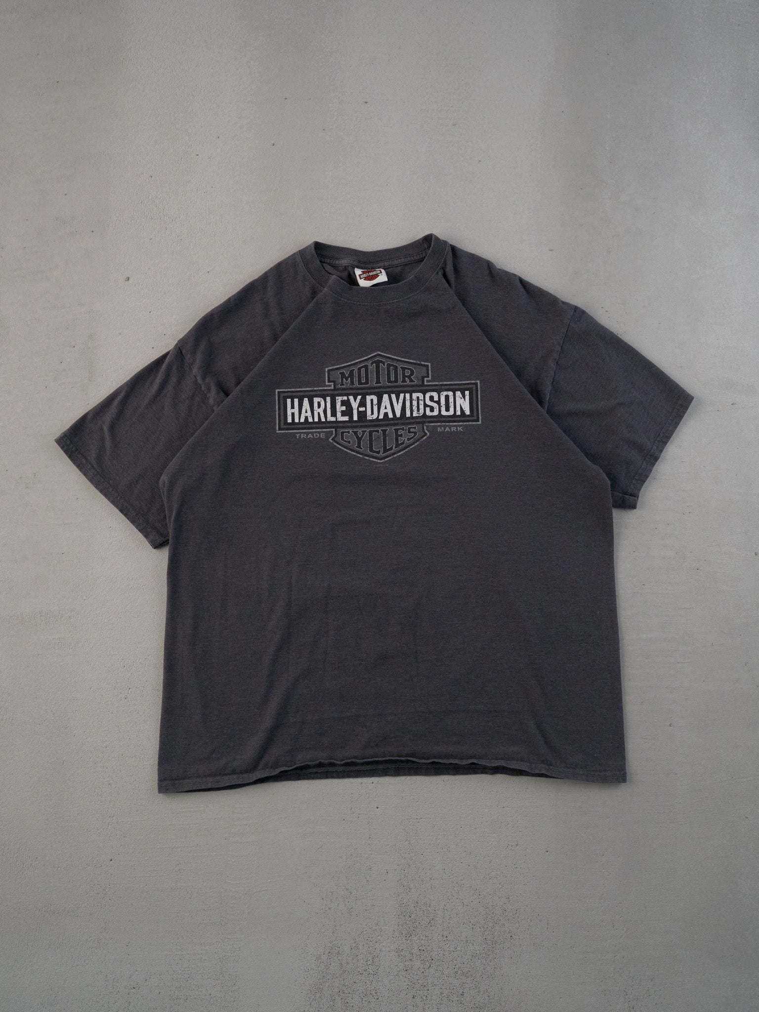 Vintage Y2k Washed Grey Harley Davidson Richmond Hill Graphic Tee (L)
