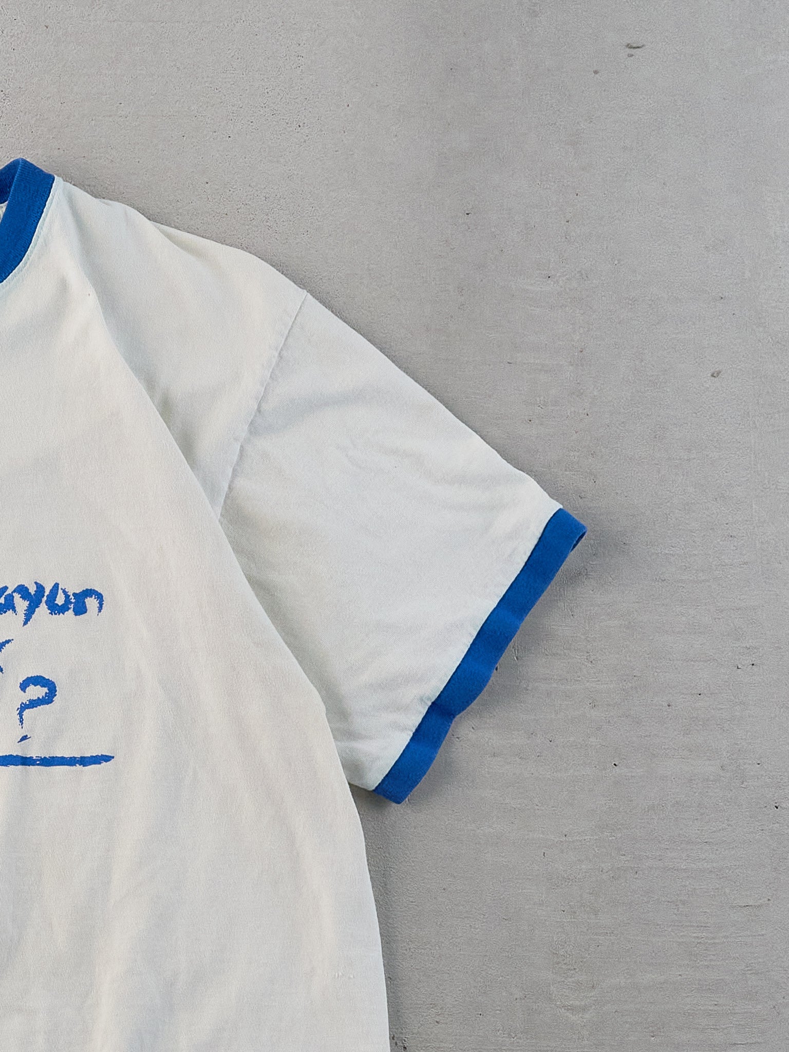 Vintage 90s White and Blue "Not The Brightest Crayon In The Box Now, Are We" Ringer Tee (L)