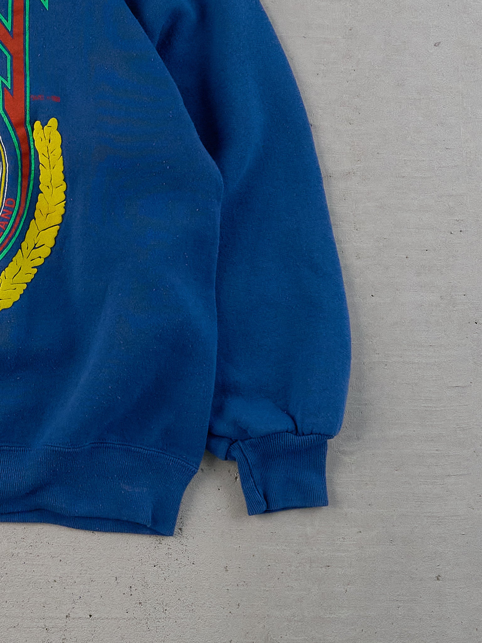 Vintage 99' Blue YMCA Dallas Graphic Crewneck (L)