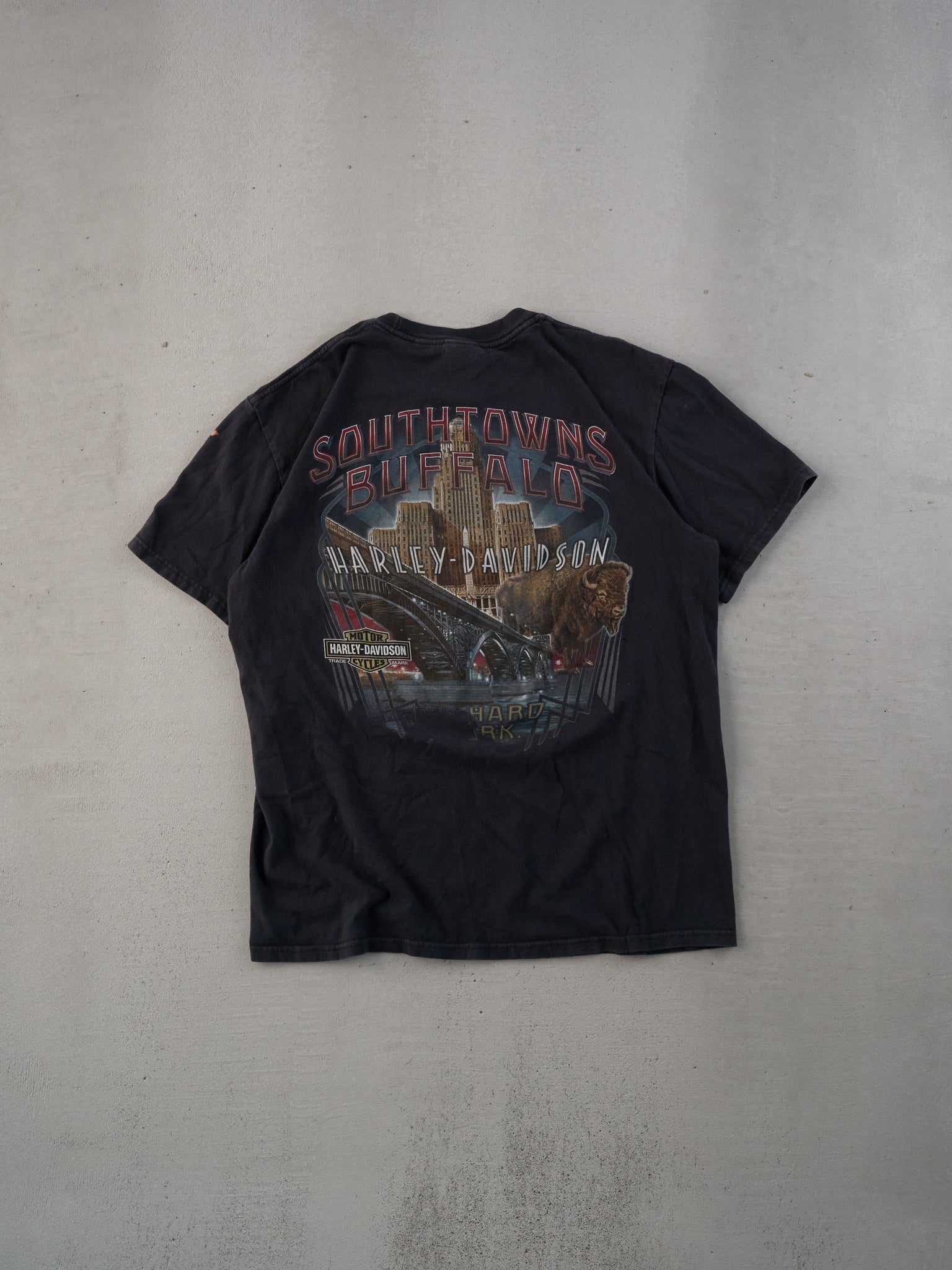 Vintage Y2k Black Harley Davidson Buffalo Graphic Tee (M)