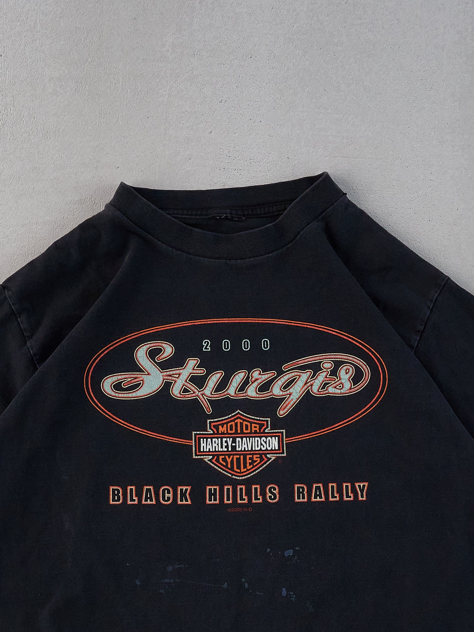 Vintage Black Harley Davidson South Dakota Graphic Tee (M)