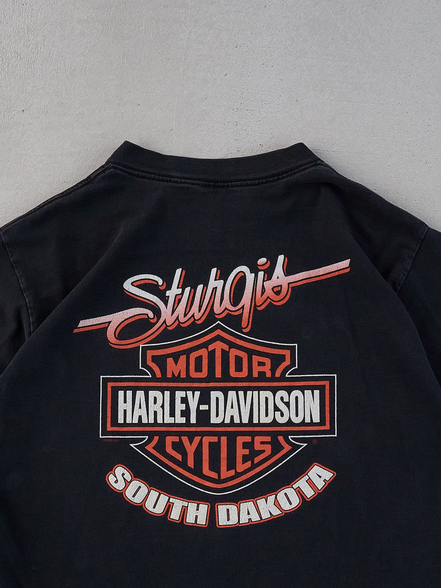 Vintage Black Harley Davidson South Dakota Graphic Tee (M)