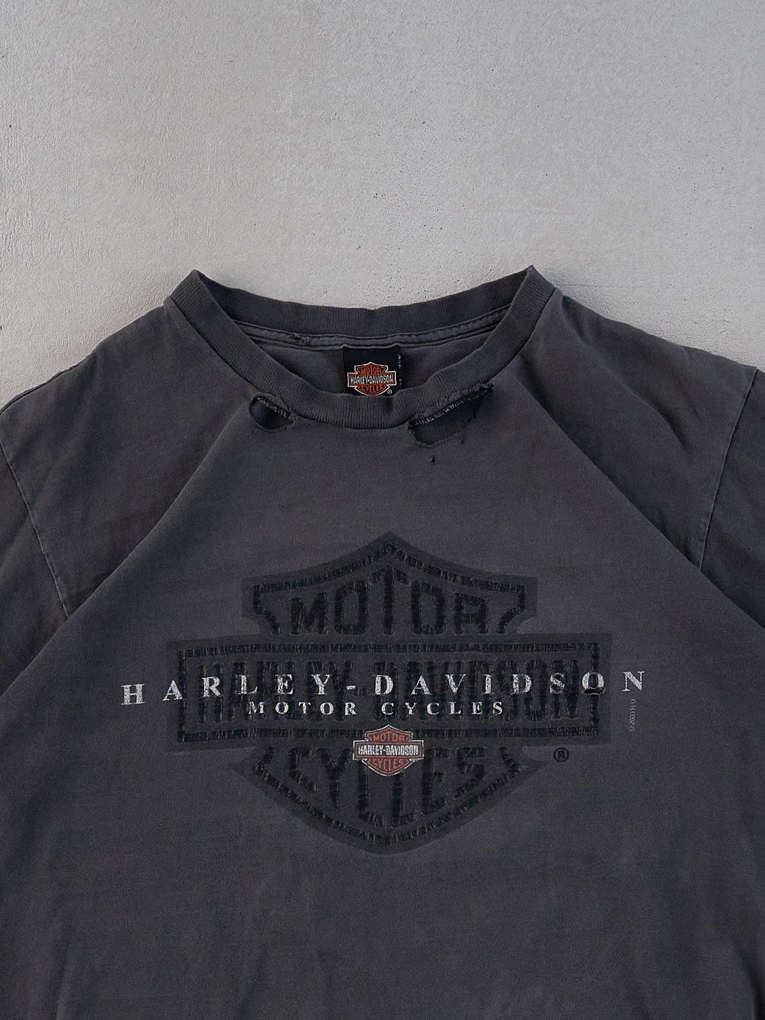 Vintage Y2k Washed Black Harley Davidson Michigan Graphic Tee (M)